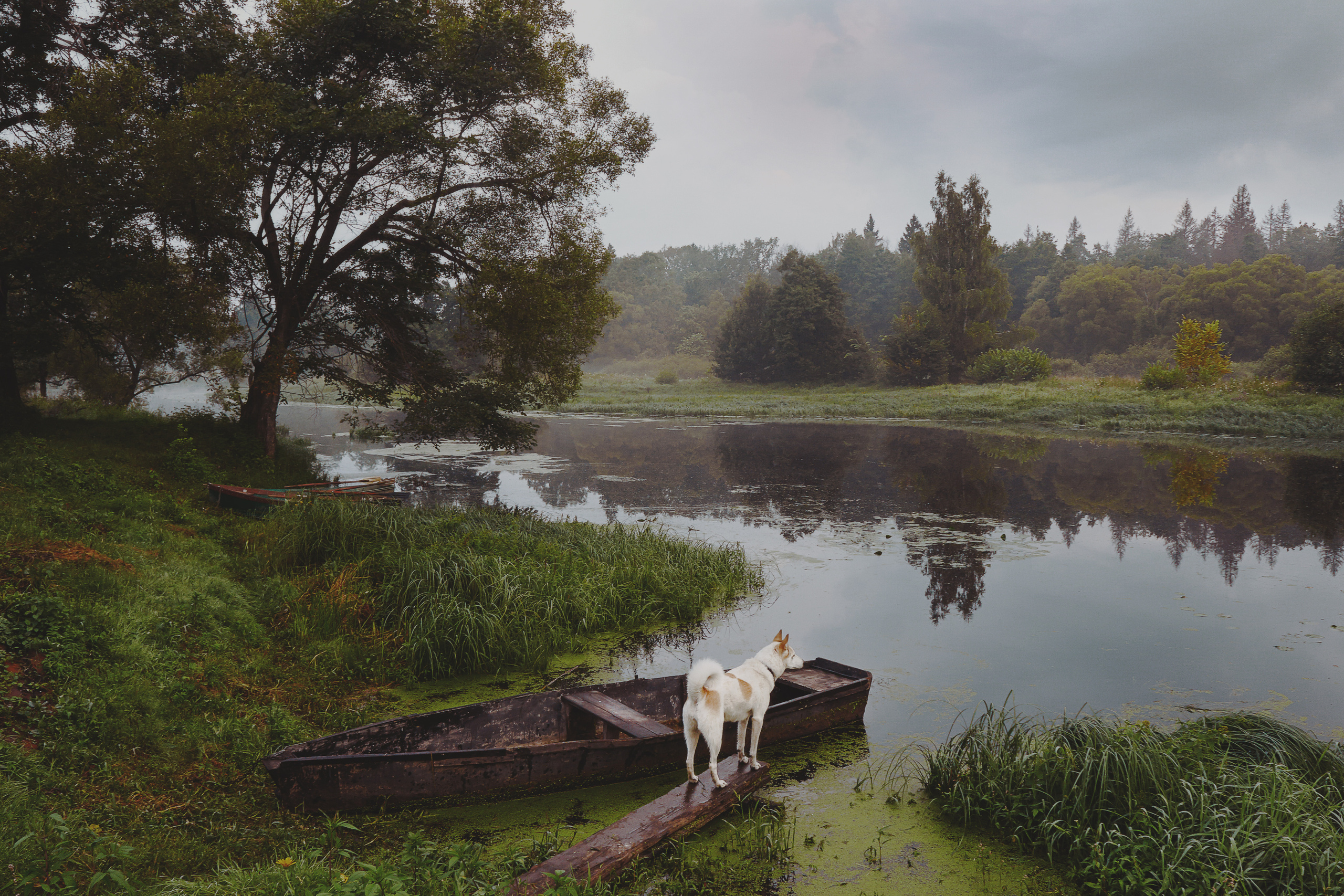 Пейзажная фотография. Портретный фотограф Виноградов Александр | Москва, Шатура