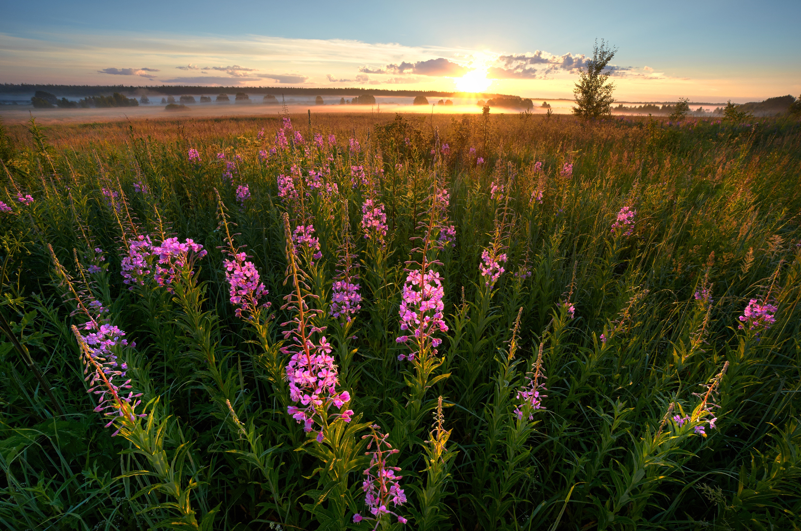 Пейзажная фотография. Портретный фотограф Виноградов Александр | Москва, Шатура