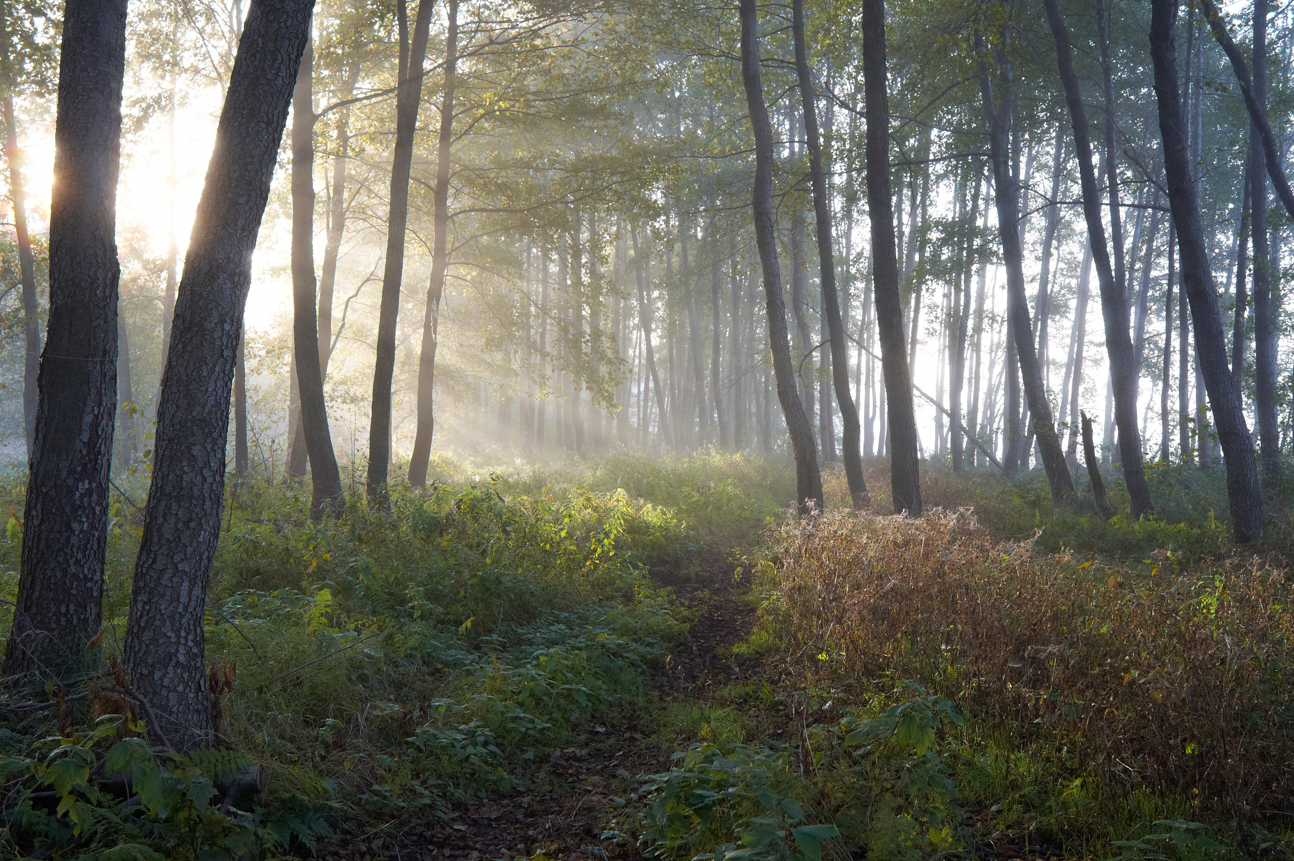 Пейзажная фотография. Портретный фотограф Виноградов Александр | Москва, Шатура