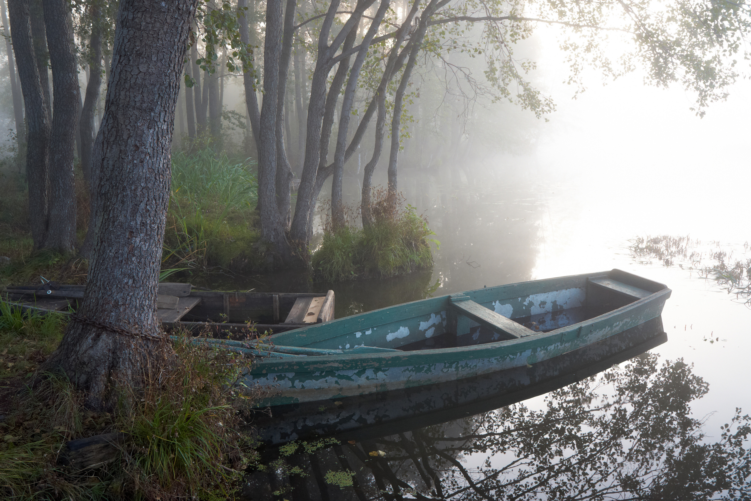 Пейзажная фотография. Портретный фотограф Виноградов Александр | Москва, Шатура