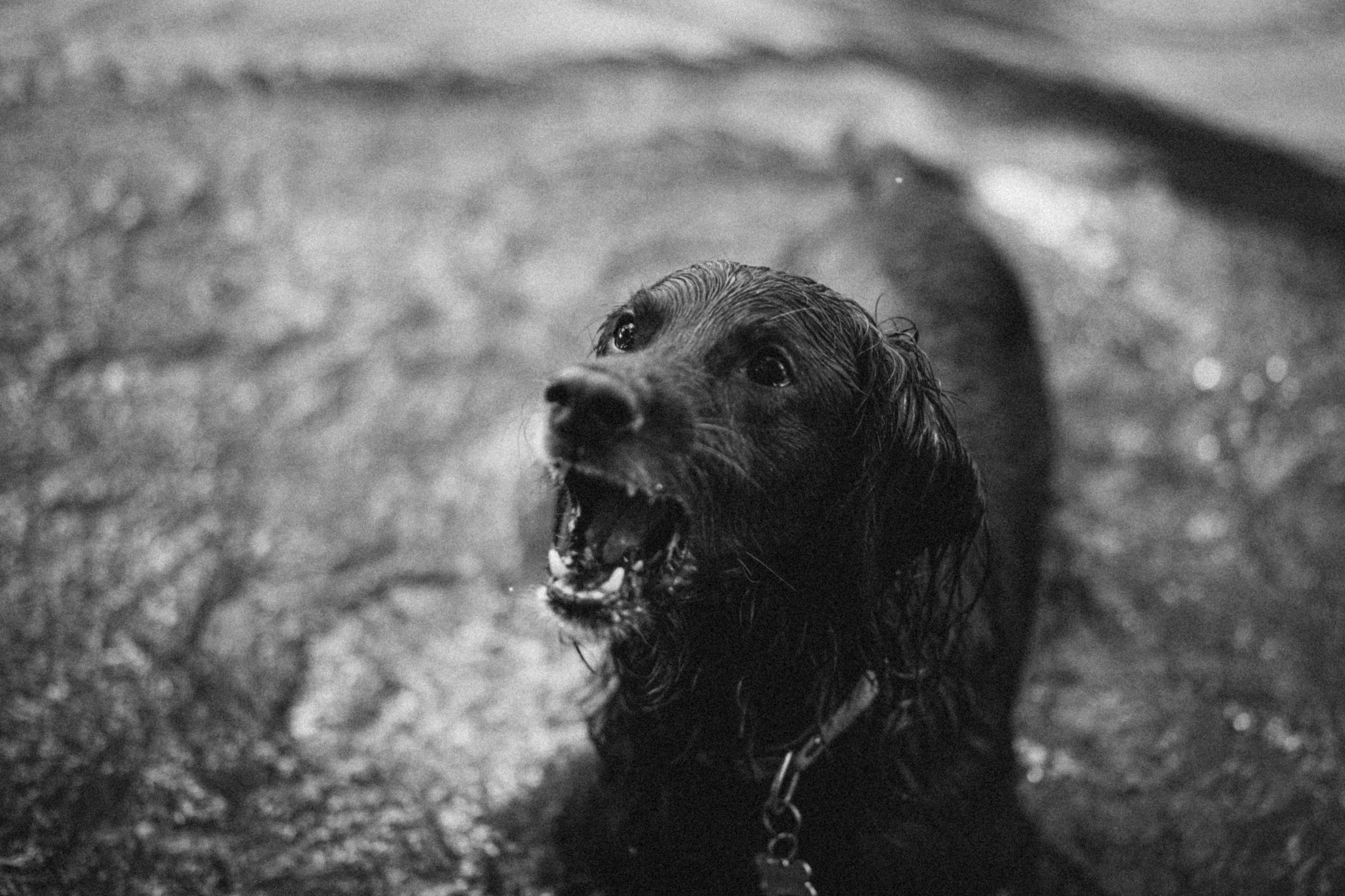 Маша и Джерри