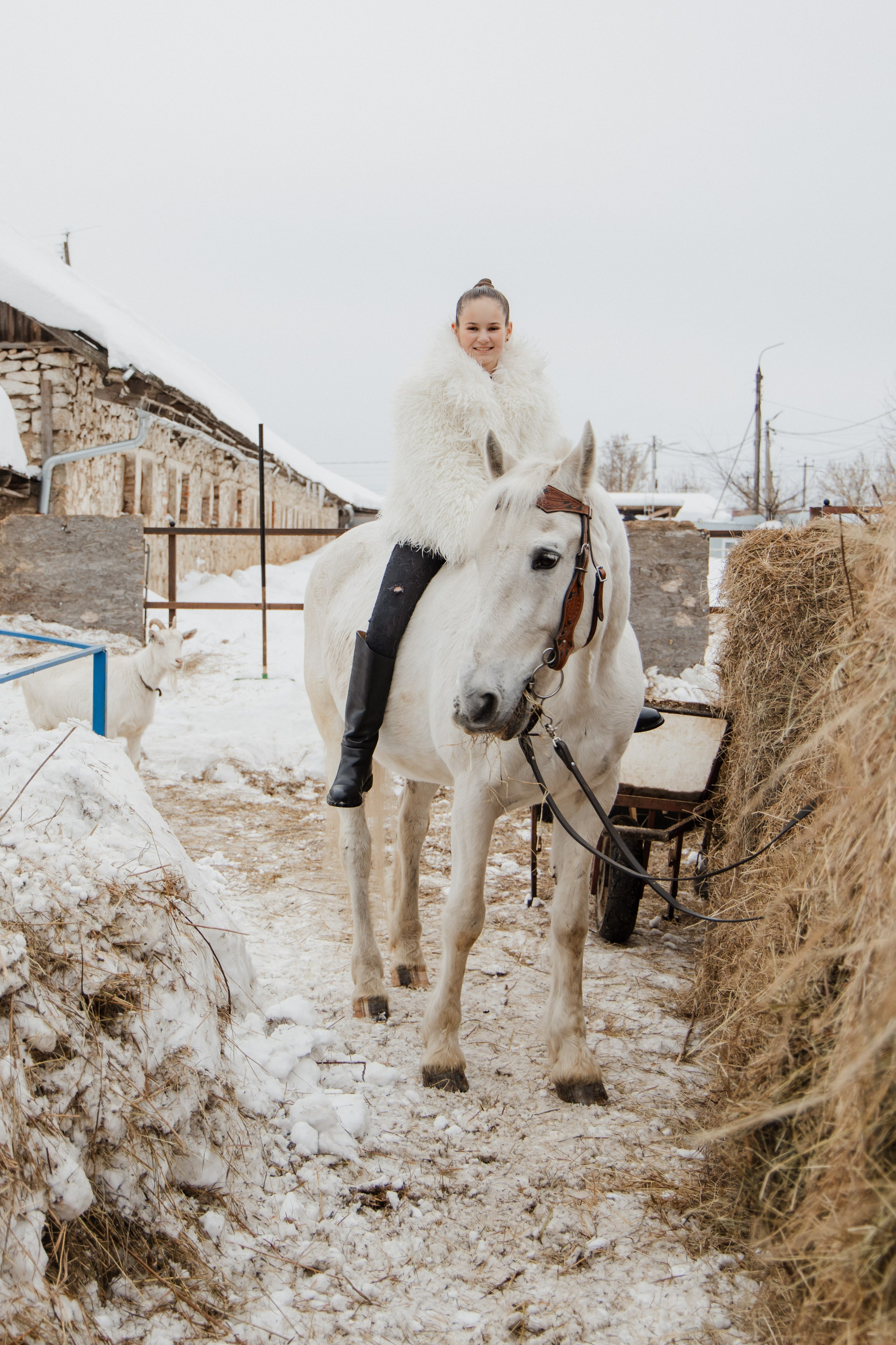 Фотосессия с Конем на Конном дворе. Свадебный фотограф в городе Подольск МО и Москва Крылова Ирина