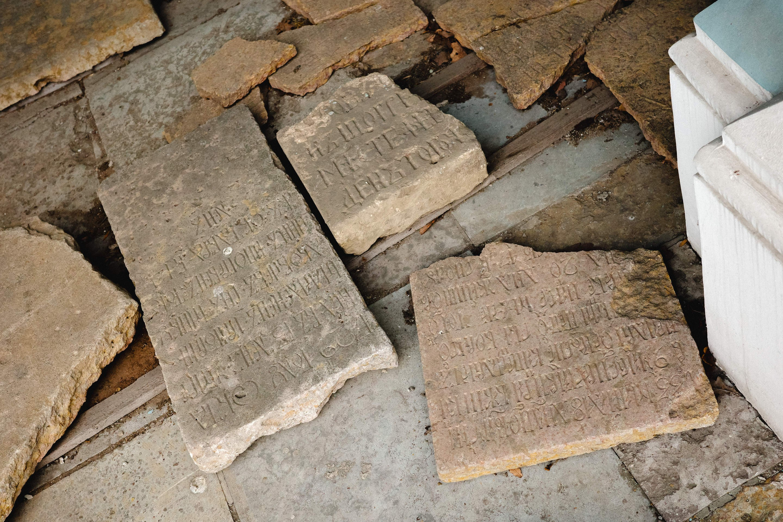 2024.11. Фотограф Алексей Алексеев