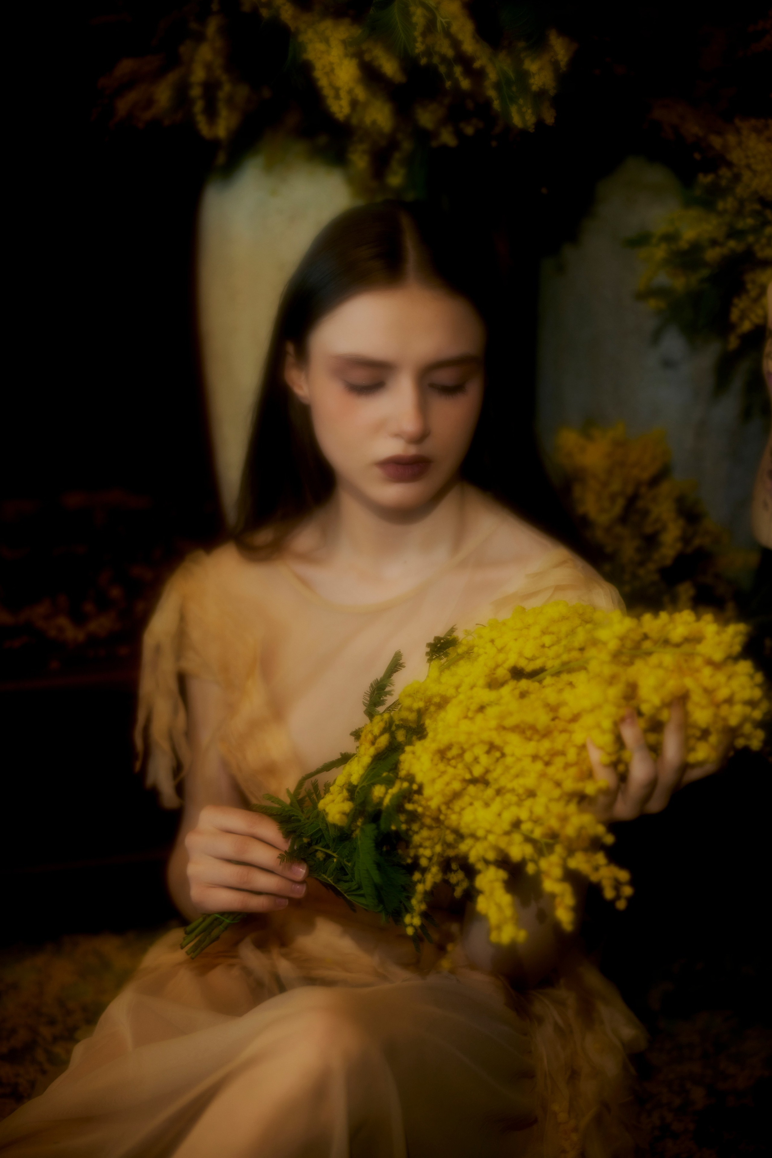 Мимоза. Сергей Ирклиенко