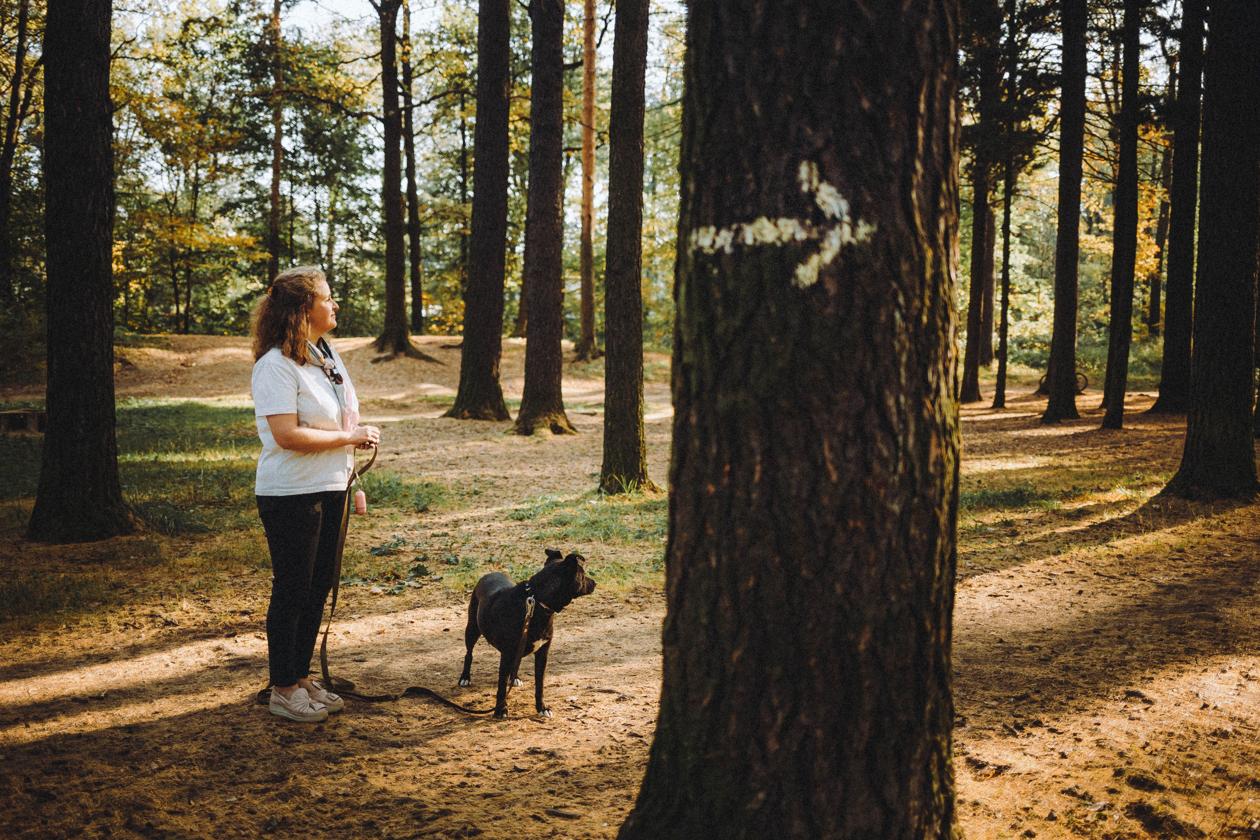 Как я выбираю, на какой объектив снимать животных?
