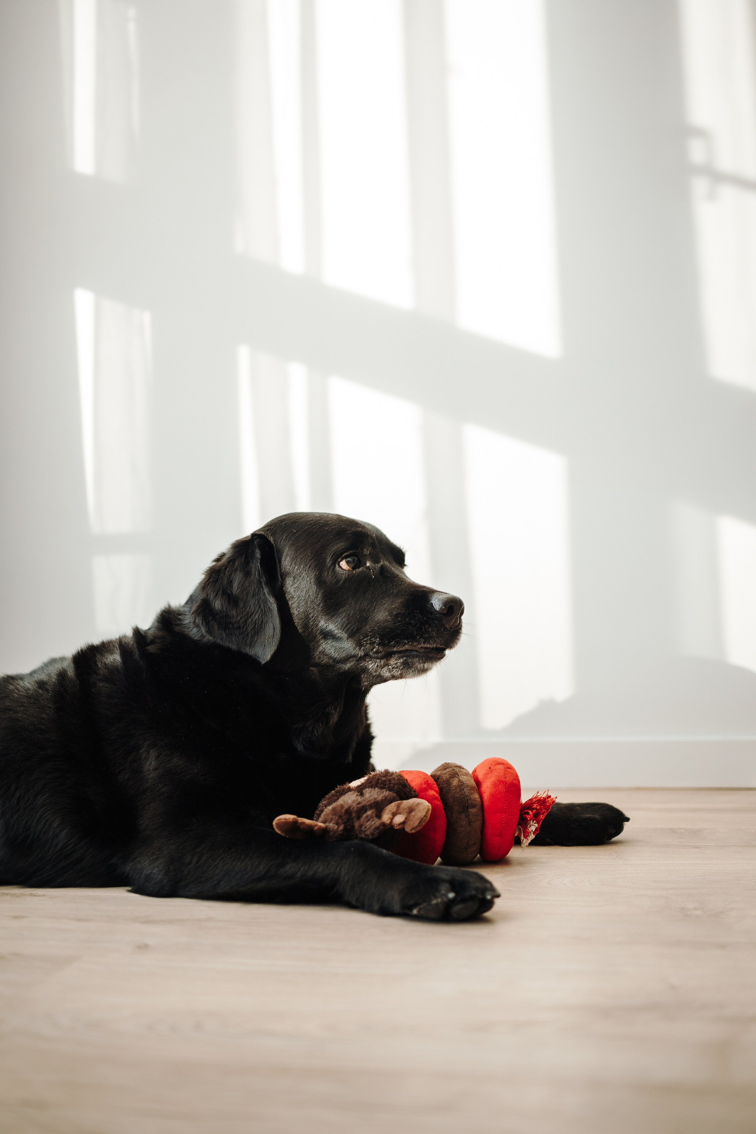 Таня и ее семья. Фотограф — Анималист | Санкт-Петербург