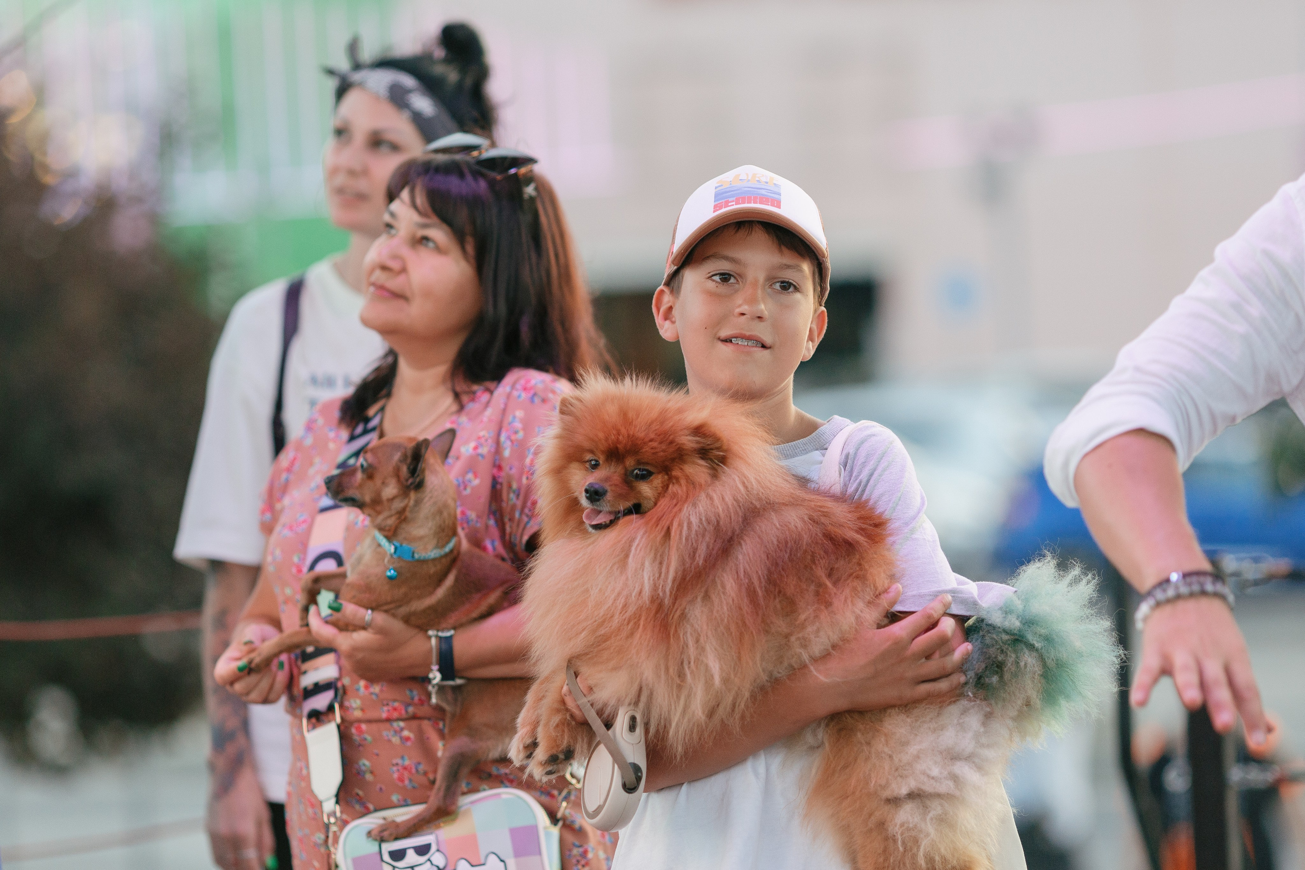 Dog Fest 2024. Главная