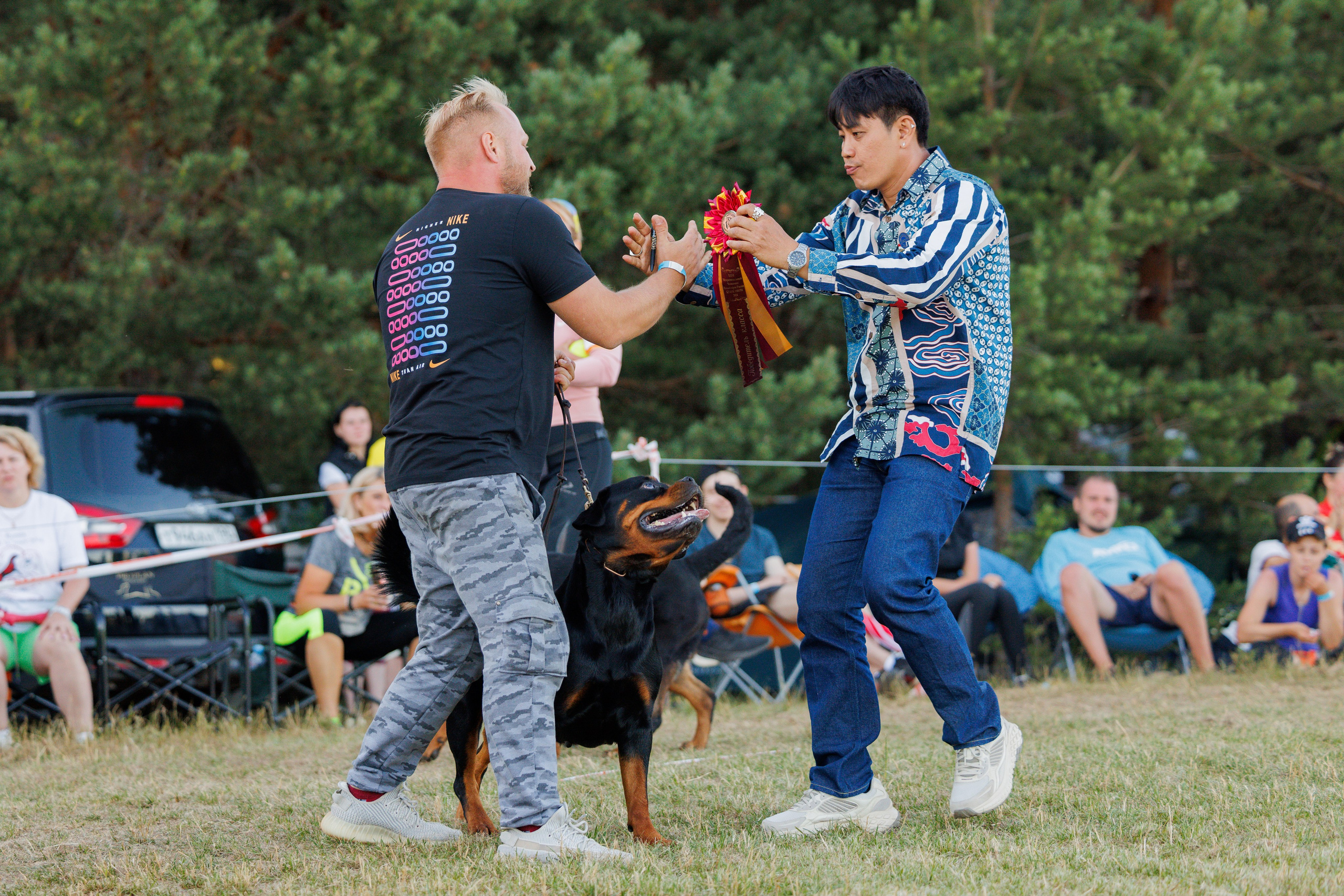 ПК и КЧК ротвейлеры Тверь 6-7.07.2024. Фотограф-анималист Юлия Германика