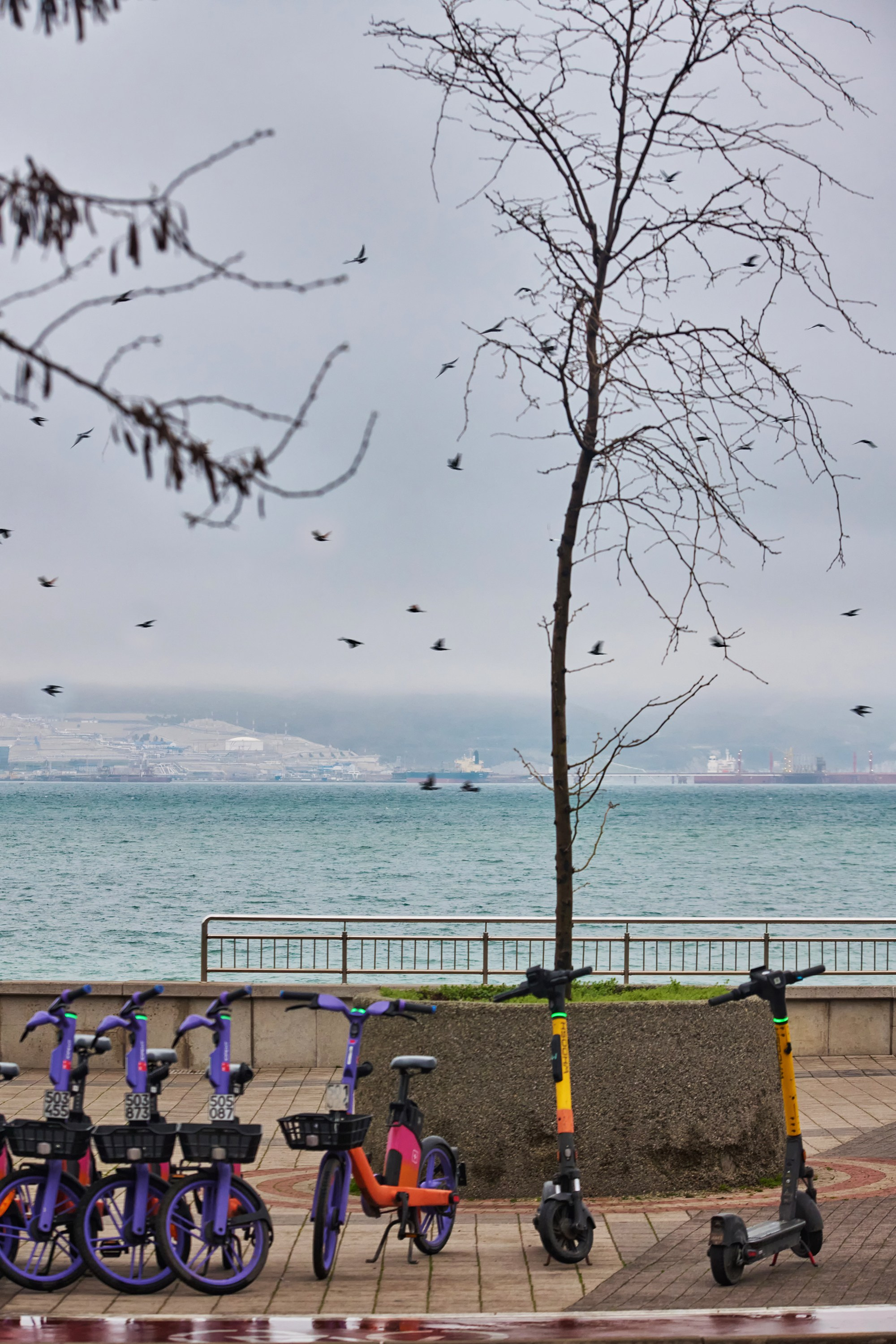 Жизнь, люди, стрит, вокруг, животные, на улице. Яркие фото на Чёрном море