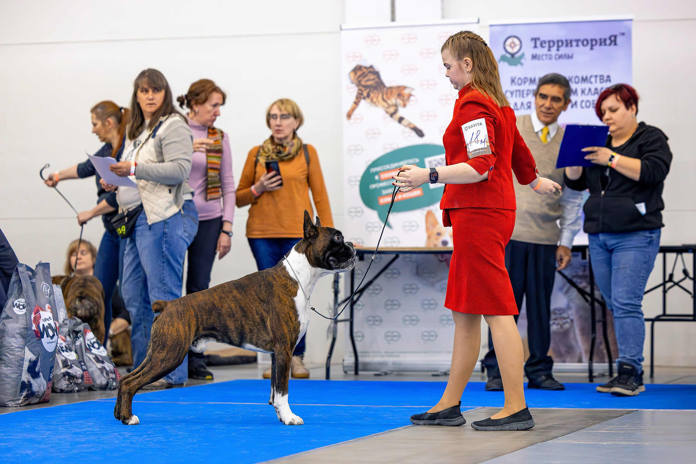26–27 апреля 2025, Выставка РКФ, г. Санкт-Петербург. Htykk_photo