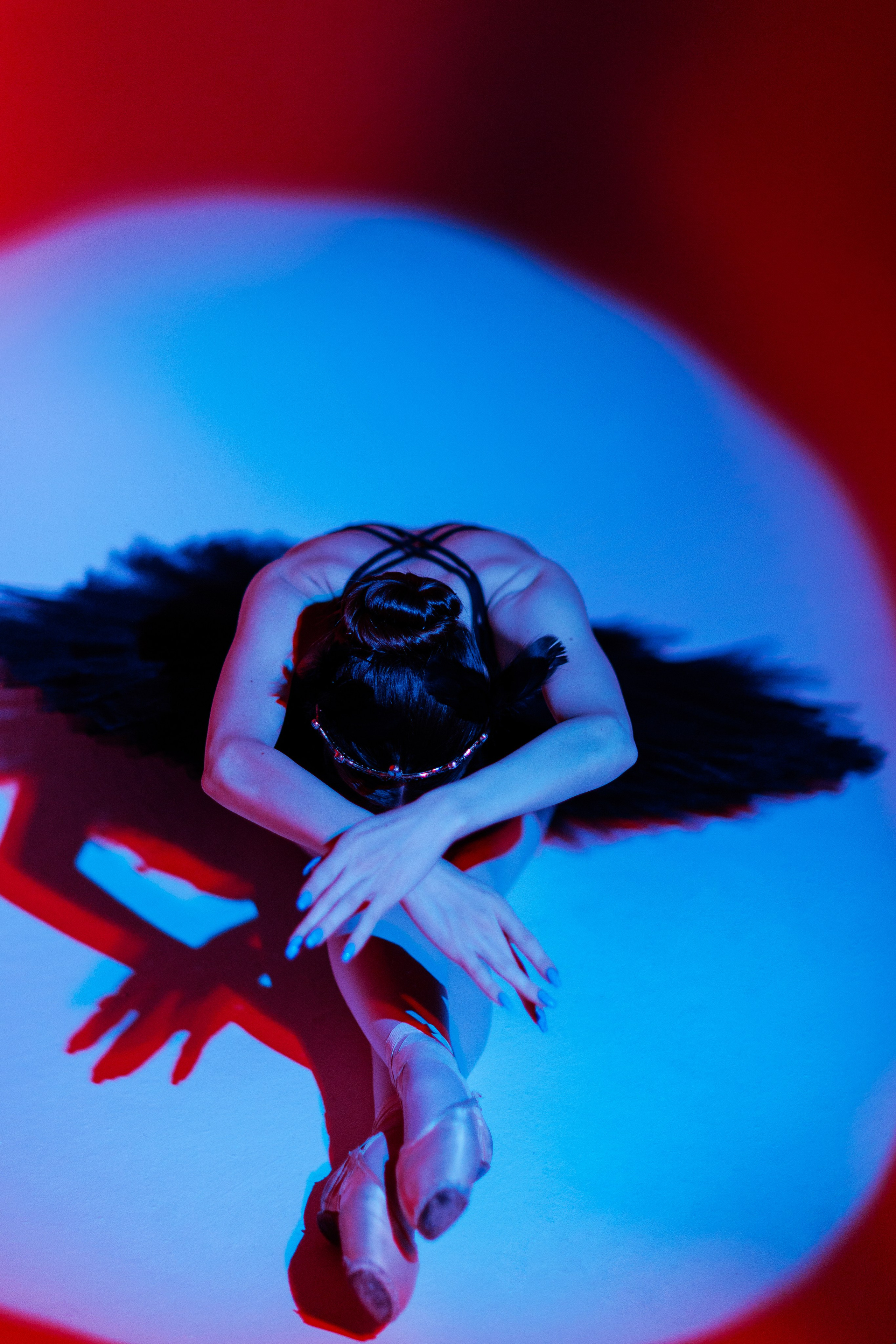 Черный лебедь. Марковкина КрисТина