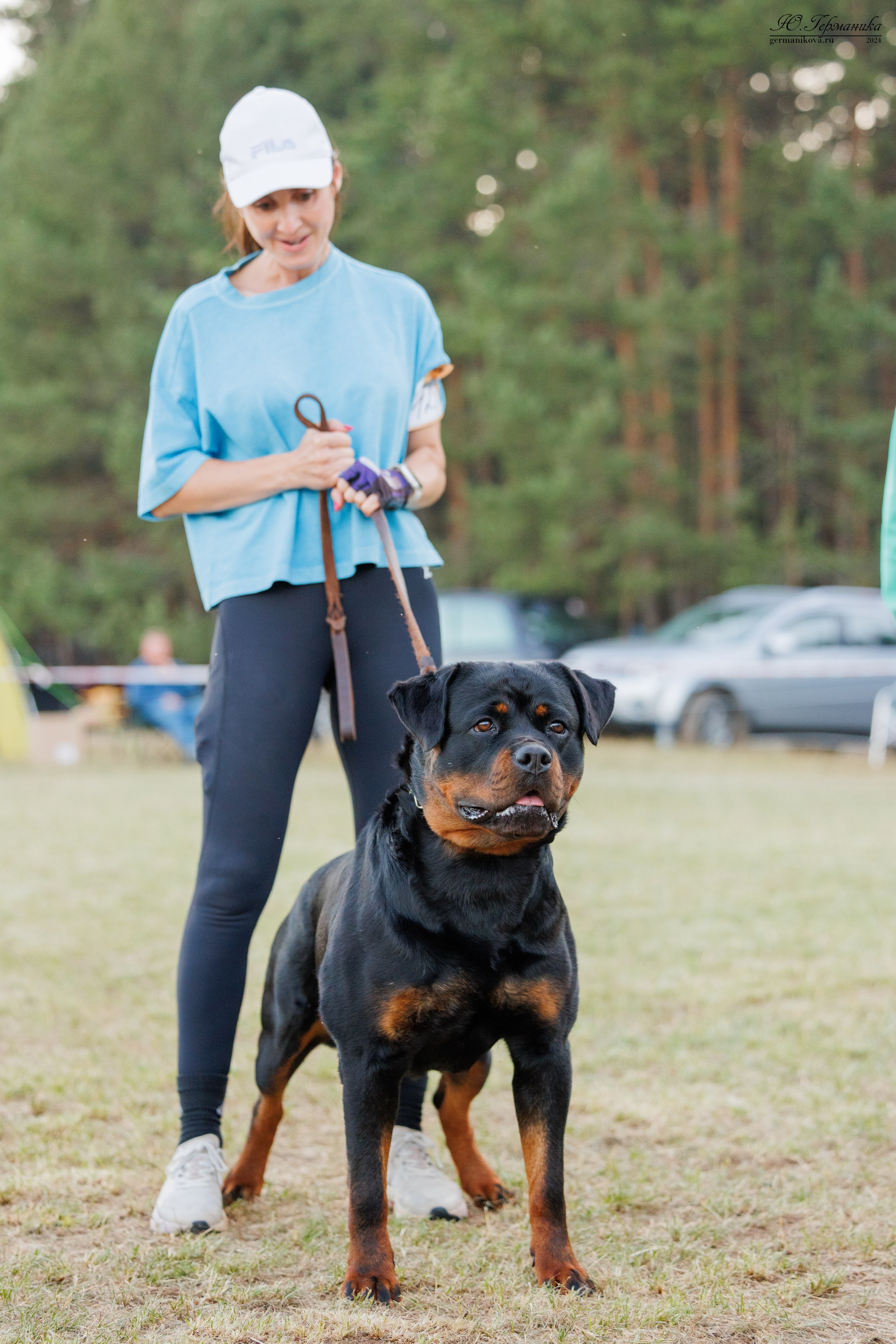 ПК и КЧК ротвейлеры Тверь 6-7.07.2024. Фотограф-анималист Юлия Германика