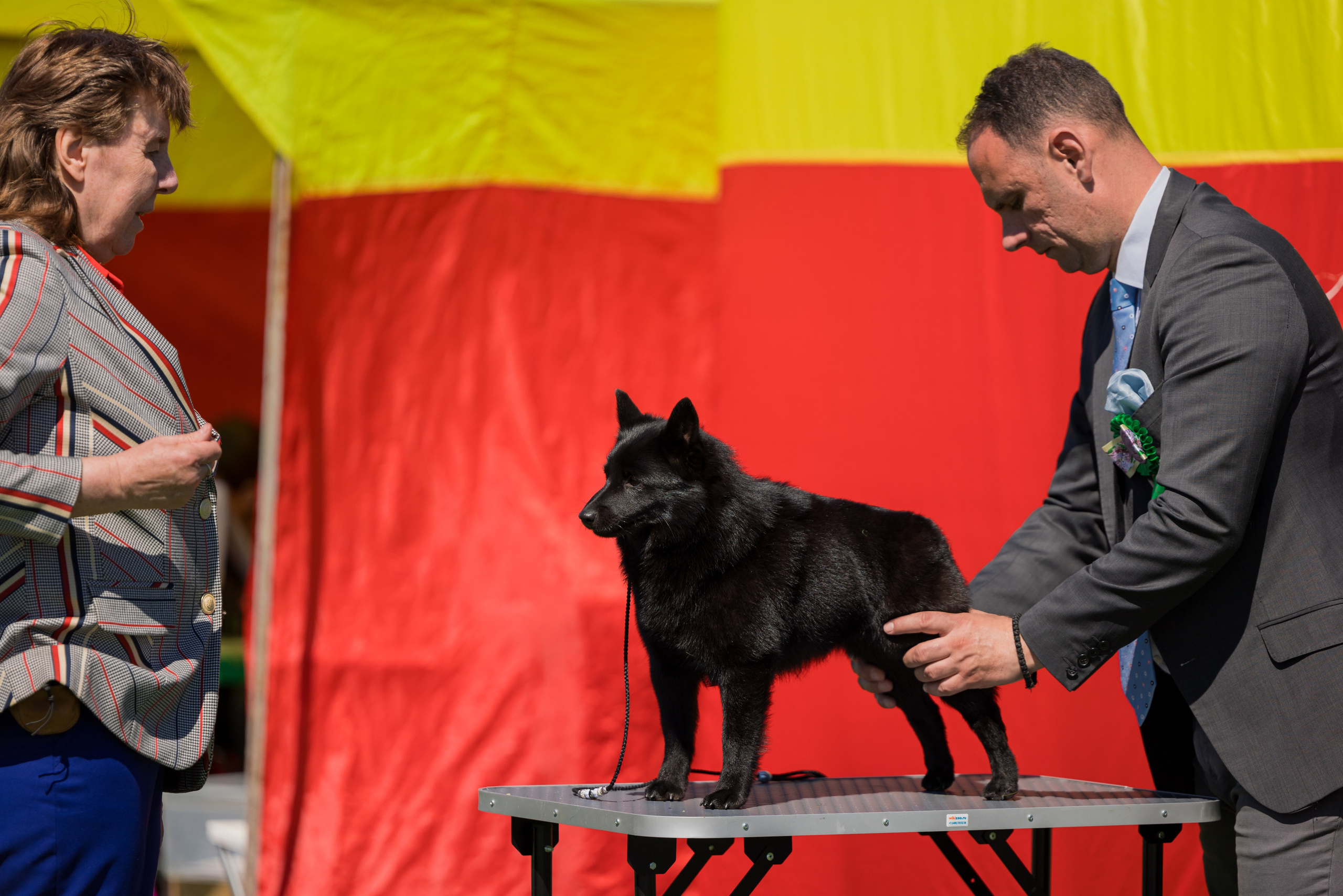 Суздаль 18-19.05.2024. Фотограф-анималист Юлия Германика