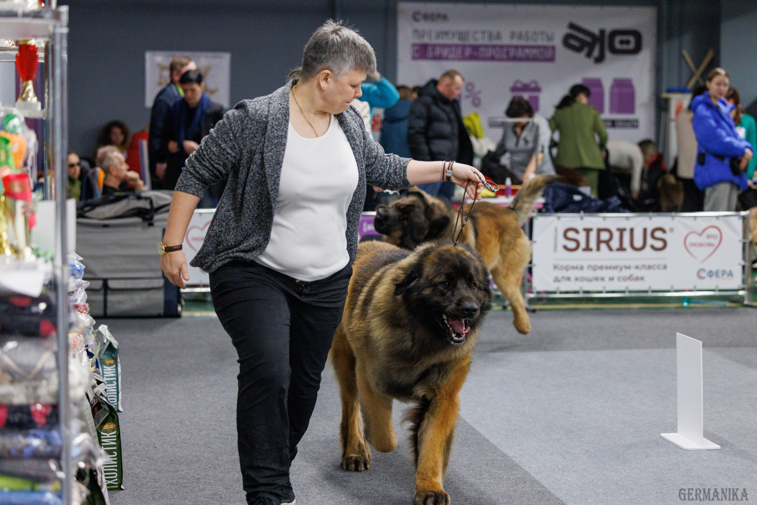 Сфера 28.01. и 4.02.2024. Фотограф-анималист Юлия Германика