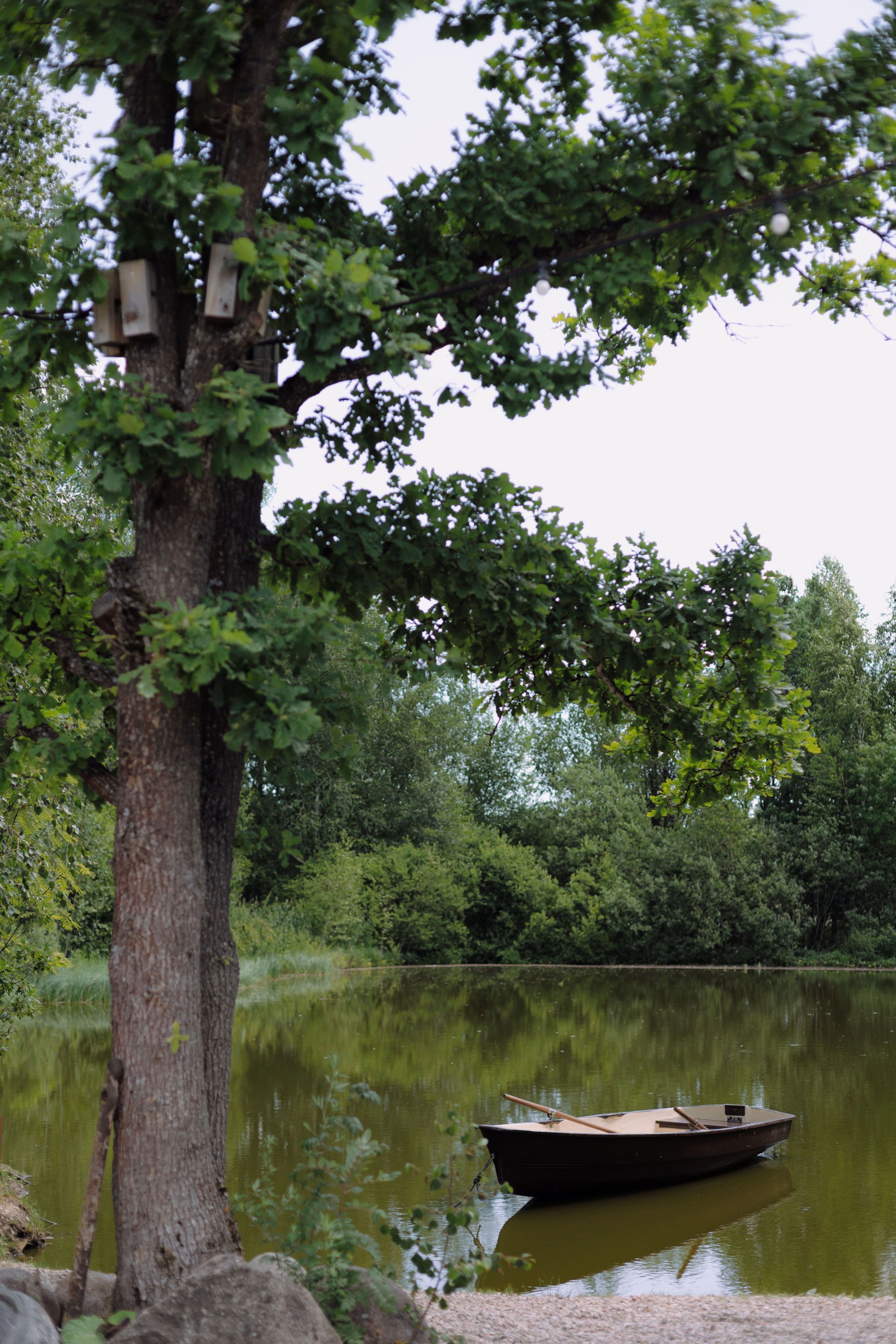 Dmitry & Diana. Главная