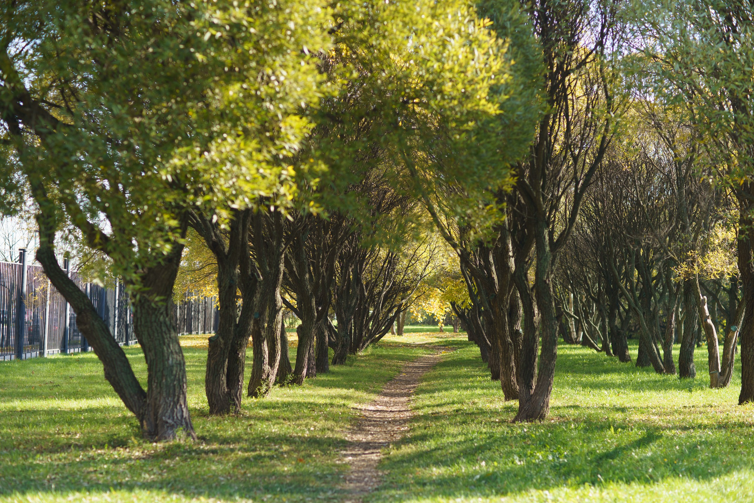 Фотосъемки на природе прогулки семейные фотопрогулки