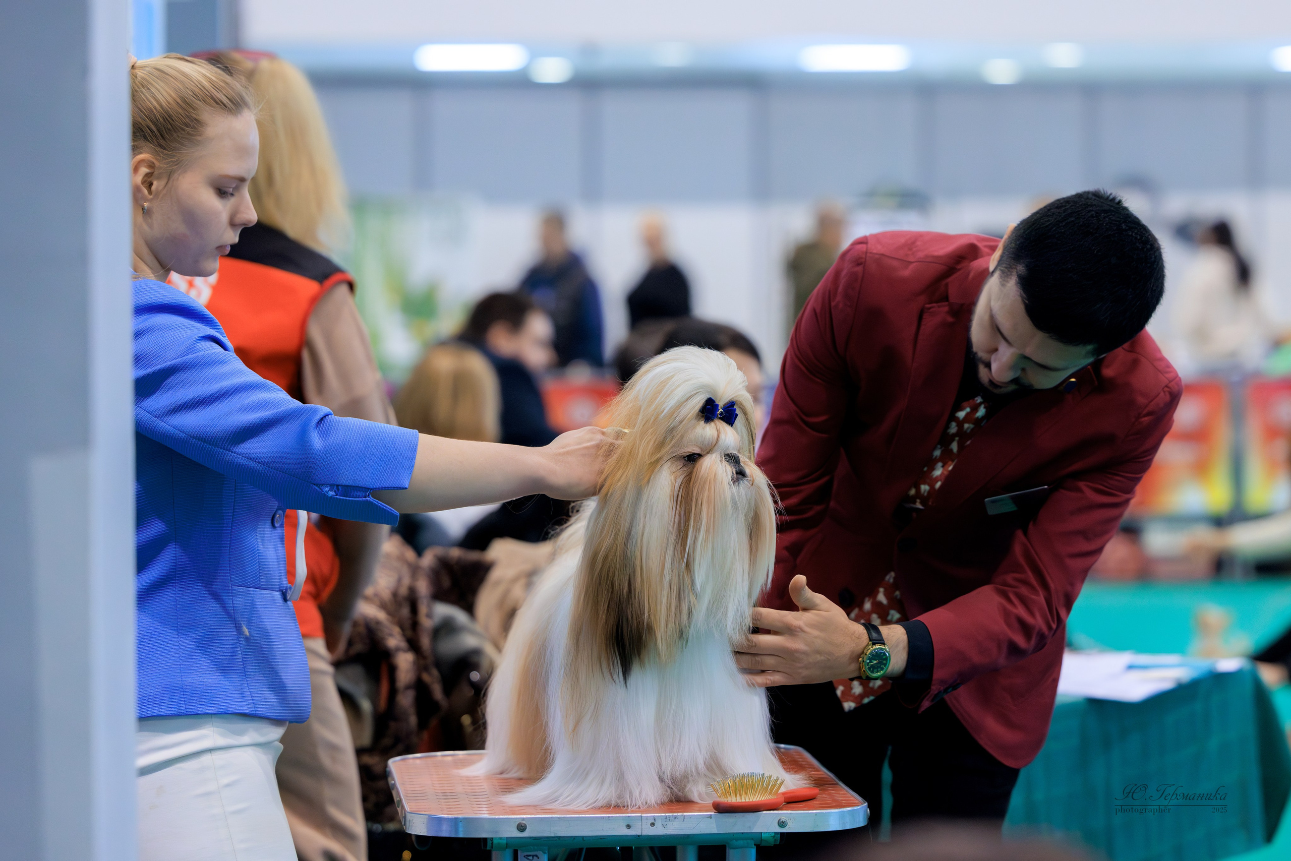 Минск 1-2.03.2025. Фотограф-анималист Юлия Германика