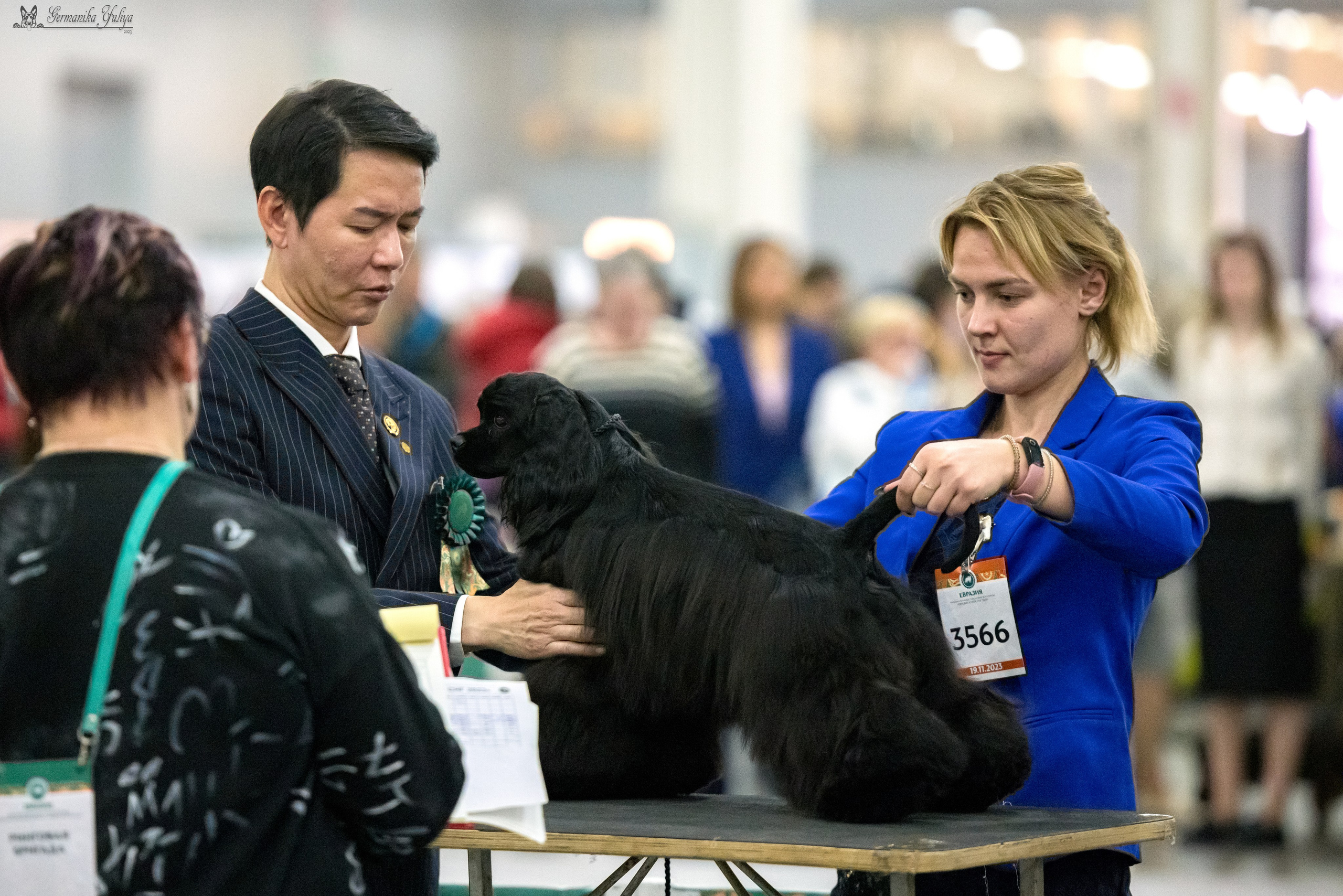 ЕВРАЗИЯ 18-19.11.2023. Фотограф-анималист Юлия Германика