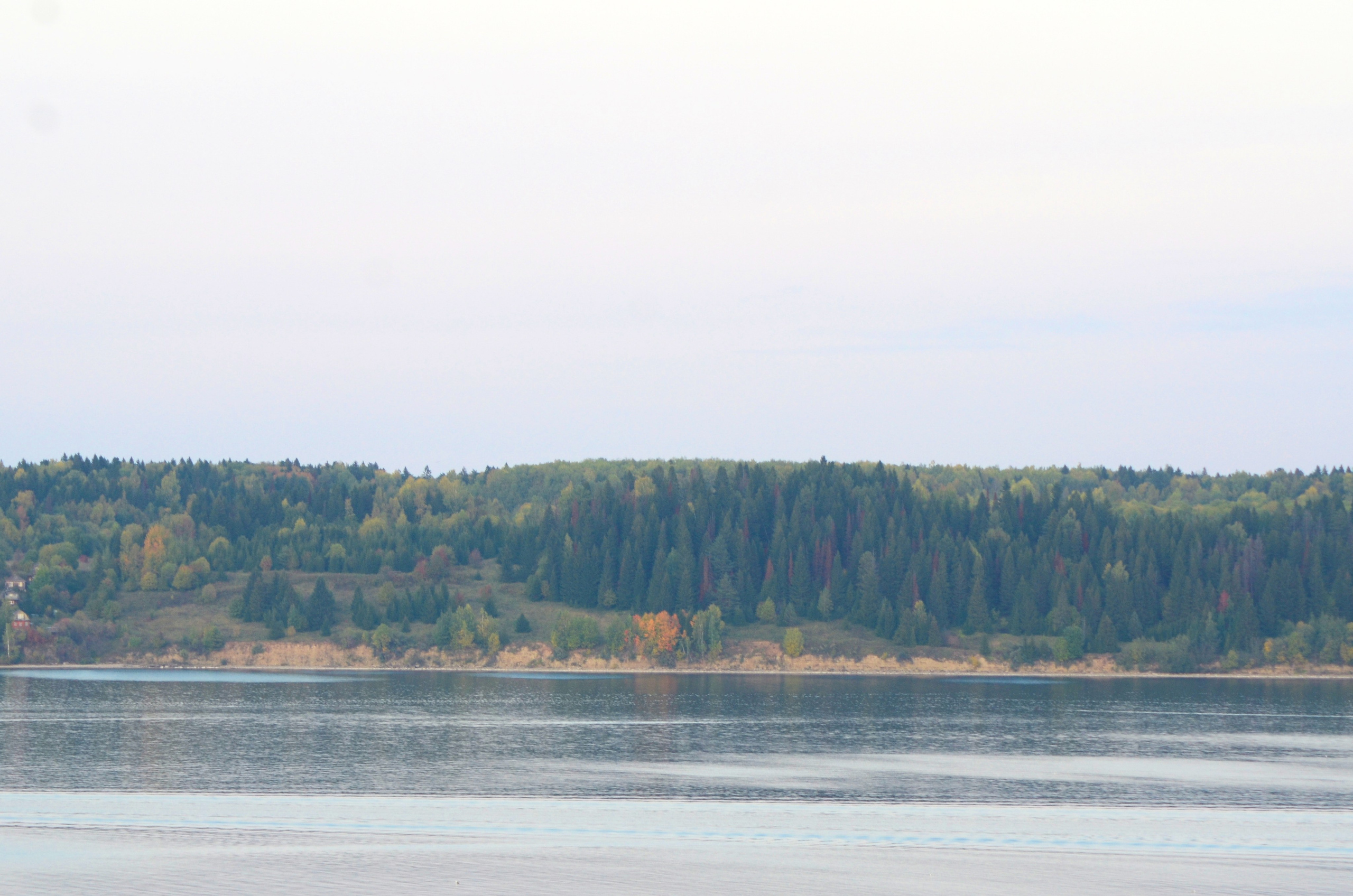 Системы хранения с фасадами из дикого дерева. Авторская фотография. Близнецовые пламёна