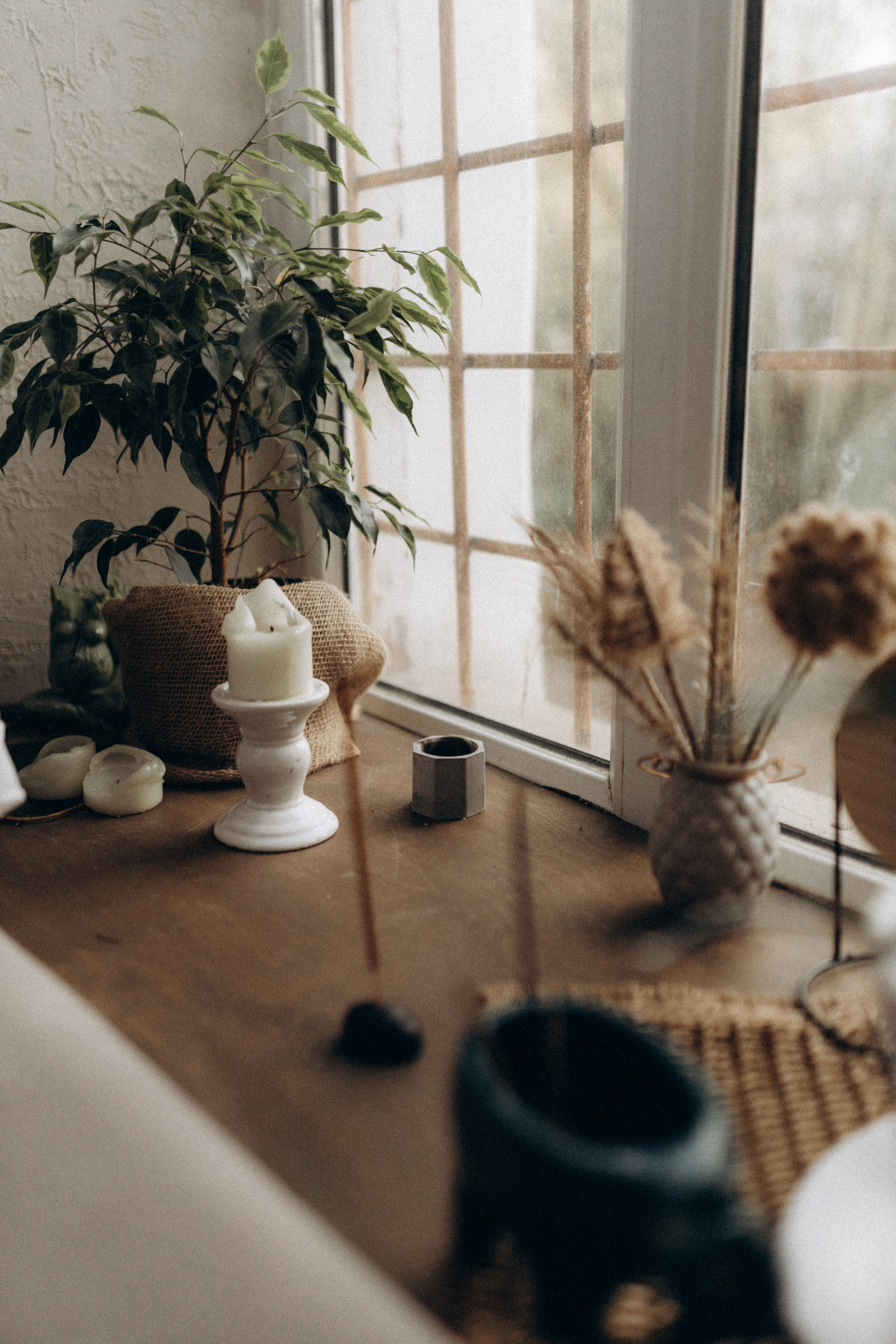 Контент для мастера чайной церемонии/гвоздестояние. Фотограф НОГИНСК, Москва, Анастасия Белая