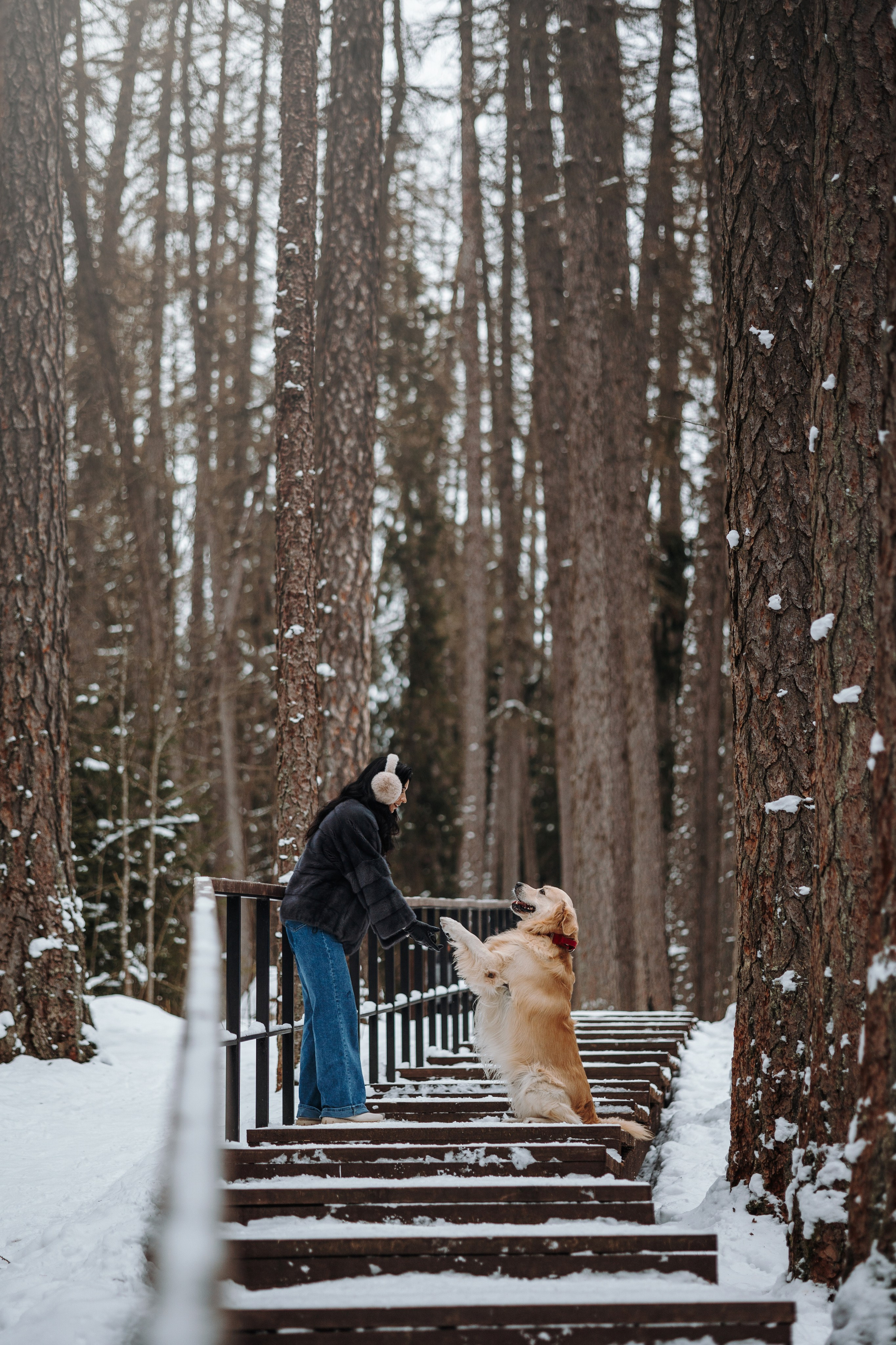 Вика и Лёва. Фотограф — Анималист | Санкт-Петербург
