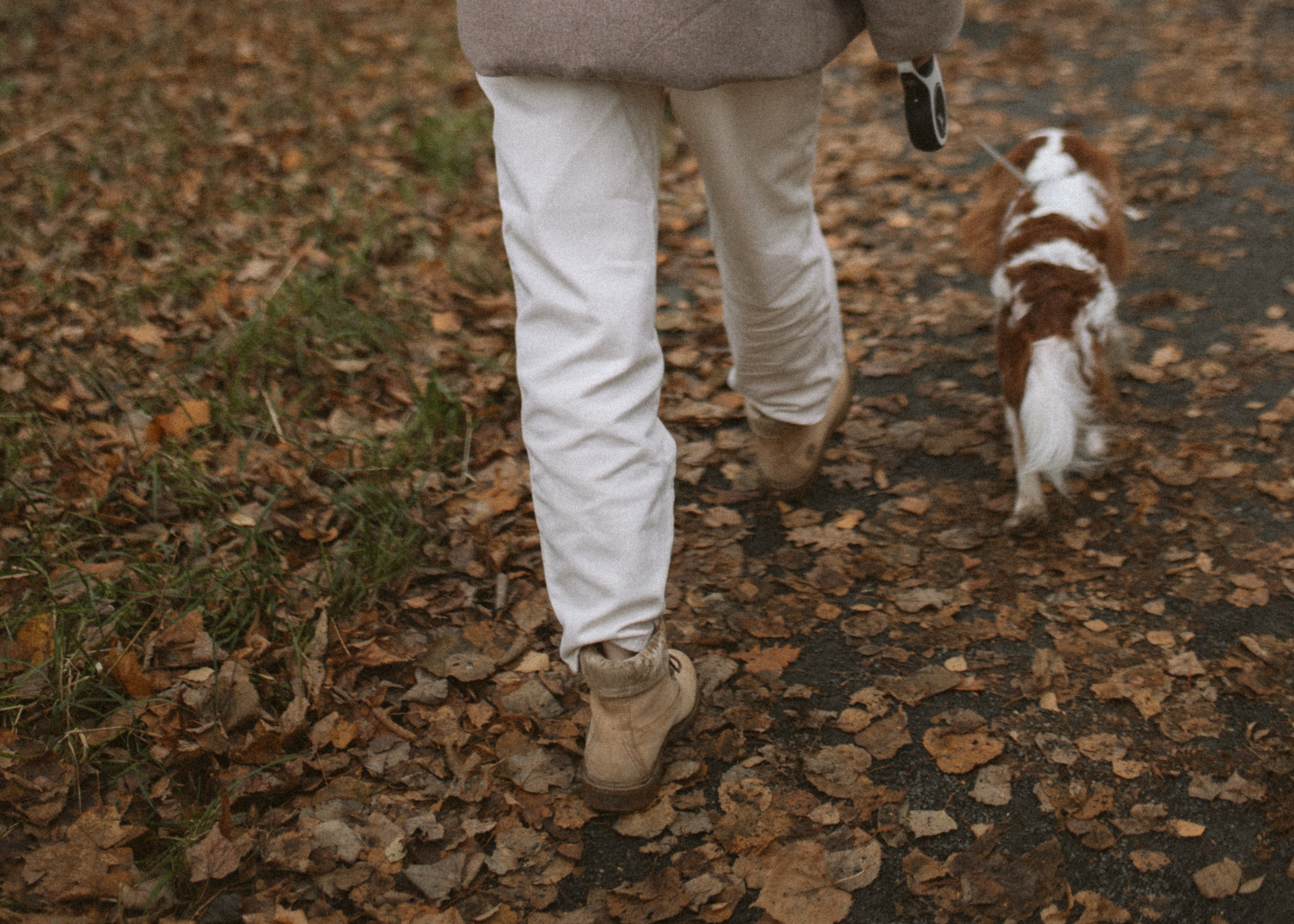 Настя и Тэйлор. Фотограф анималист в Москве Ольга Агушева