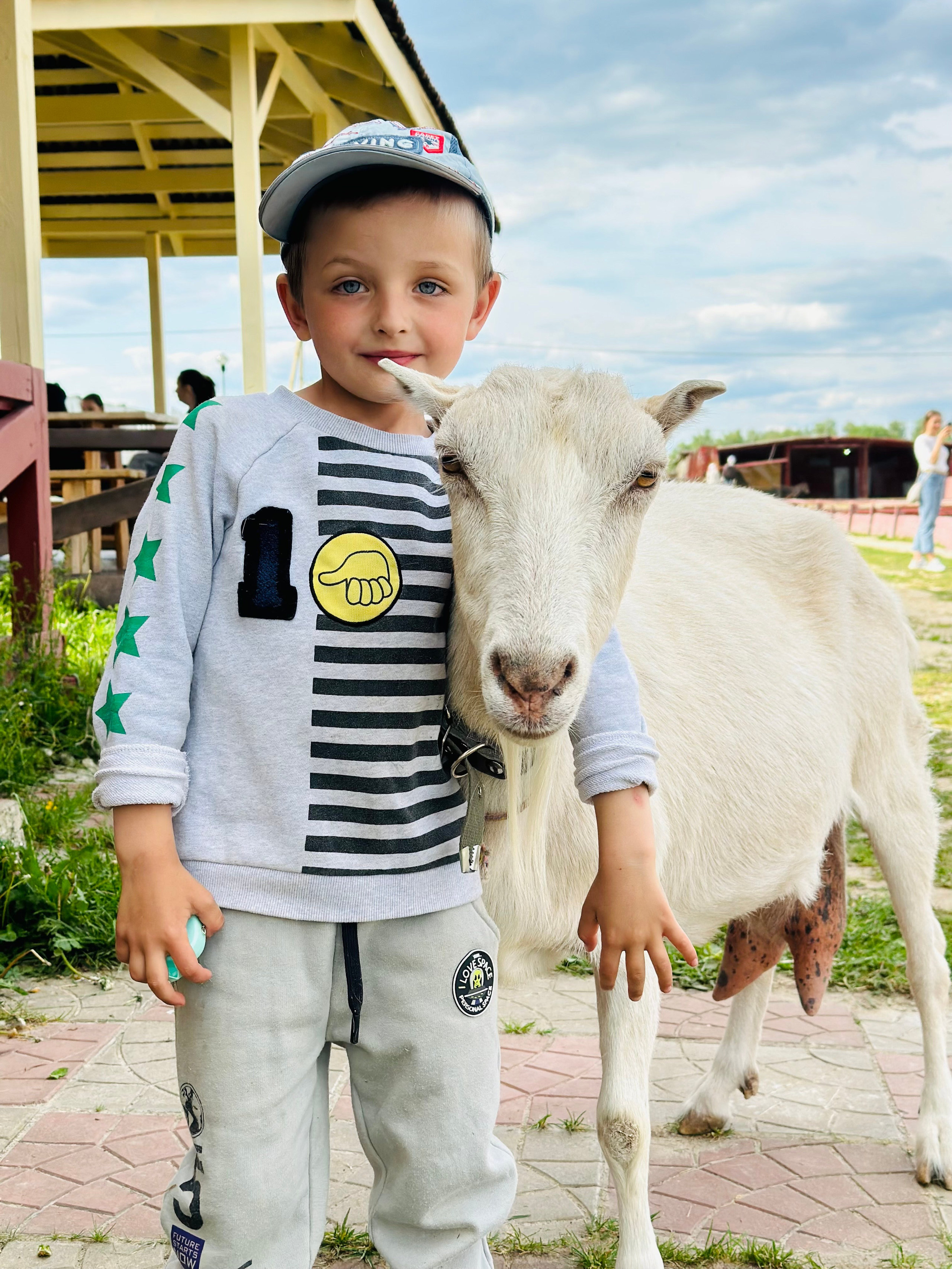 На ферме. Главная