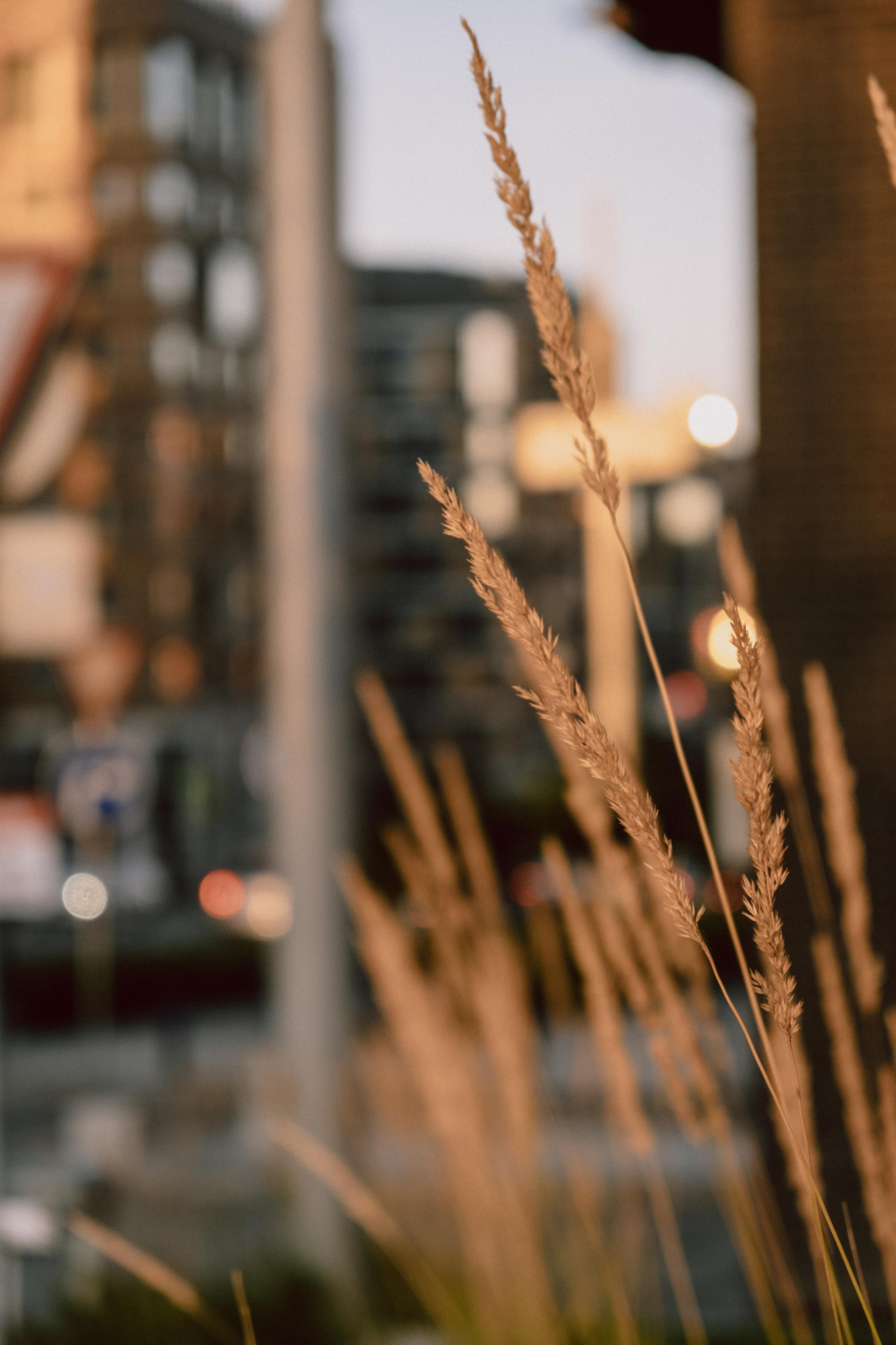 Замечательная повседневность. Контент-фотограф и видеограф в Перми