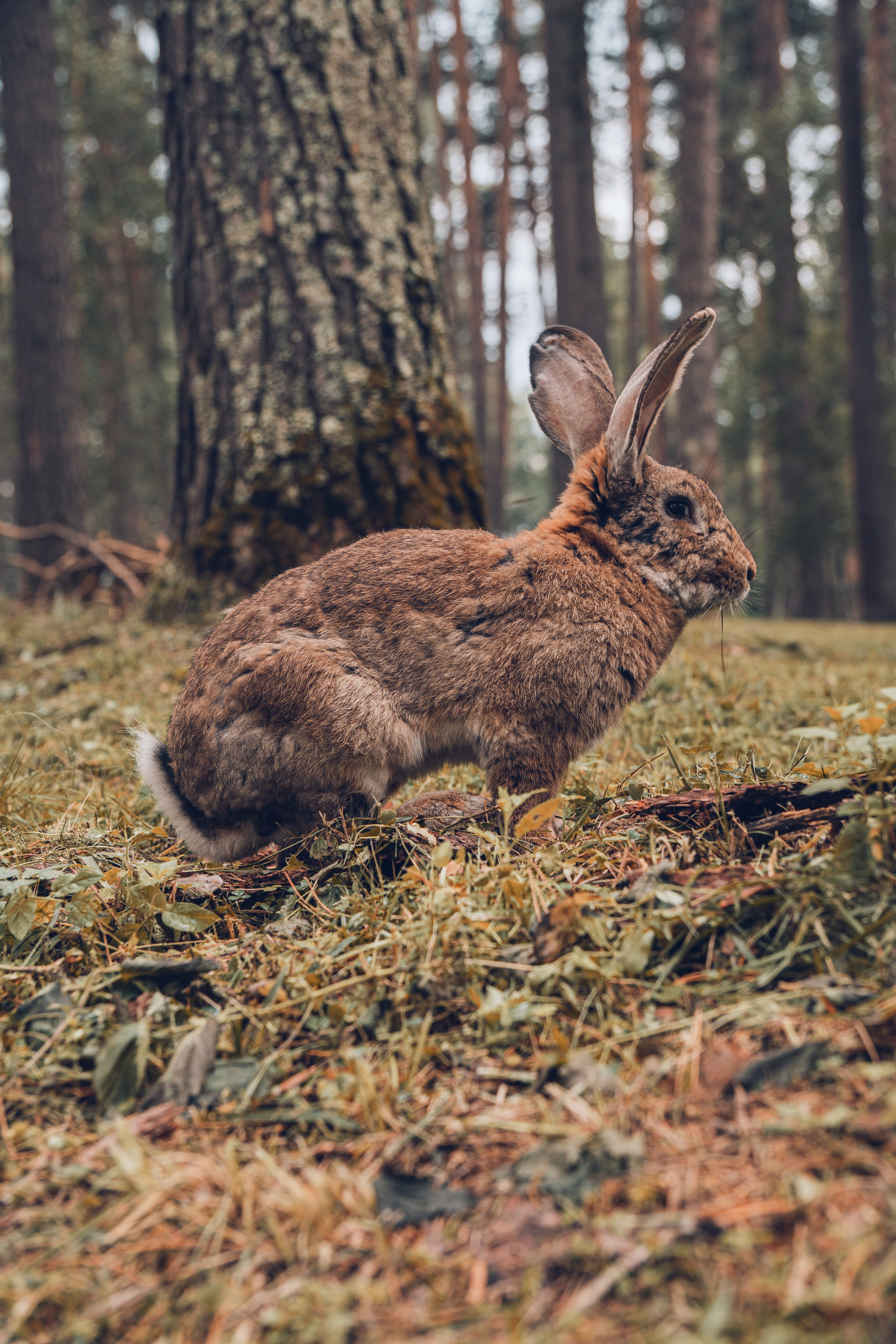 Алтай. Gusarov Travel Photography
