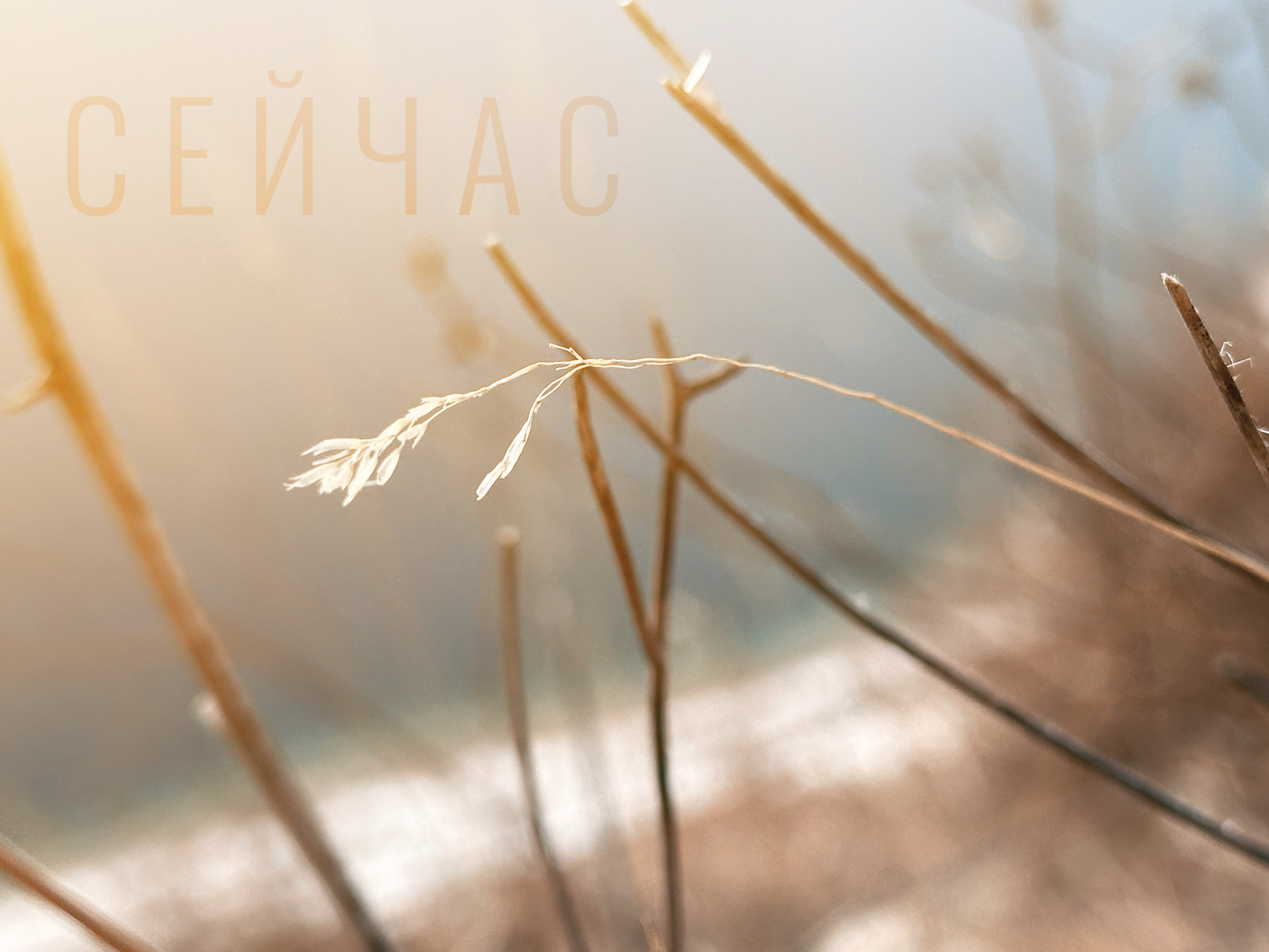 Макро любовь. Смотри, красота!