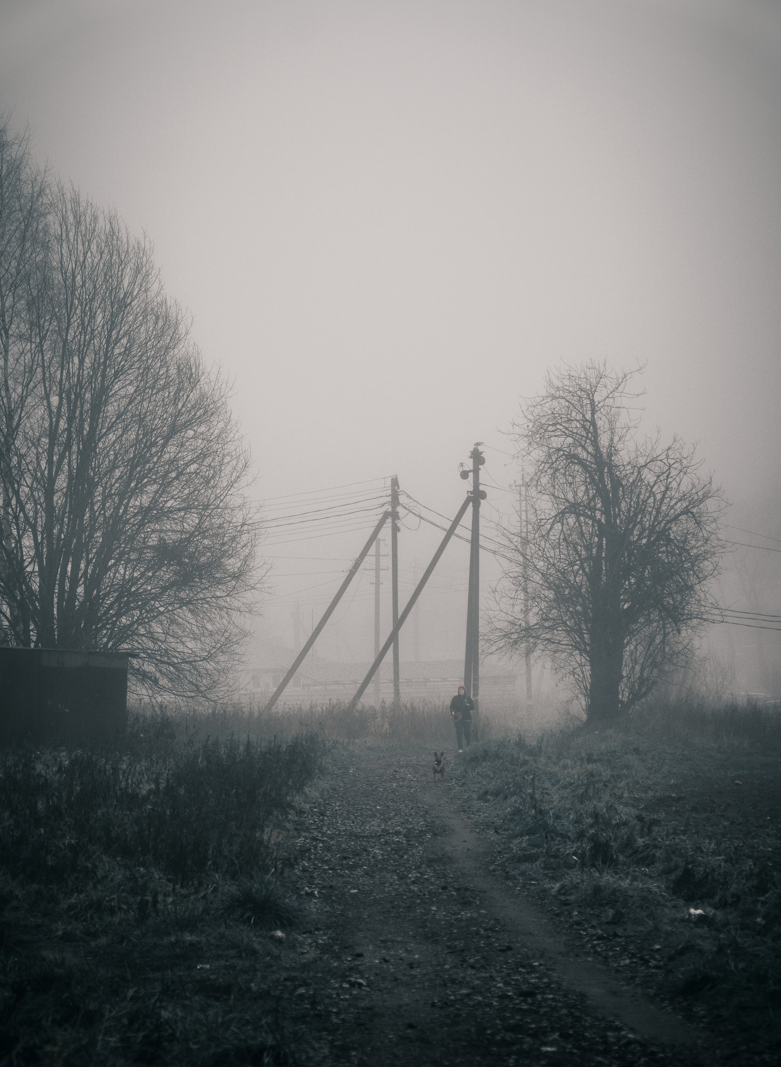 Одинокий человек с собакой на просёлочной дороге в тумане пригородов Санкт-Петербурга, провода и покосившиеся столбы, атмосферный urban кадр, фотограф Мальцев Евгений (Evrednix).