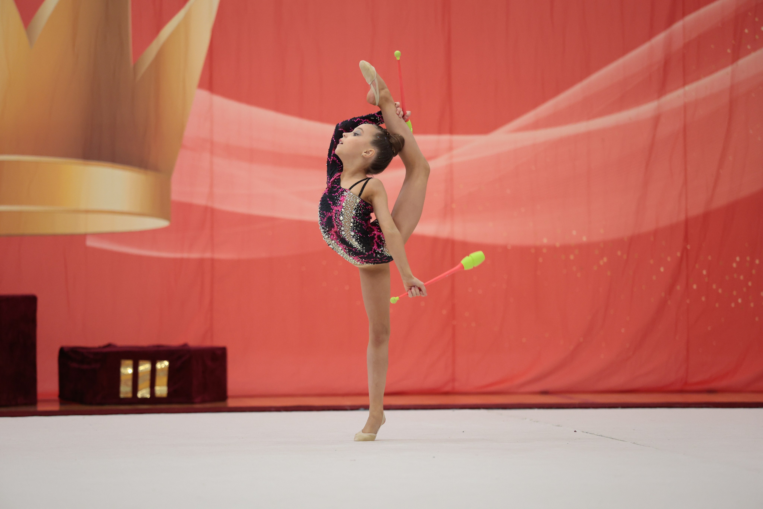 Профессиональная съемка гимнастического турнира в Пскове. Портретный Фотограф Александр «Konevtsoph» В Санкт-Петербурге