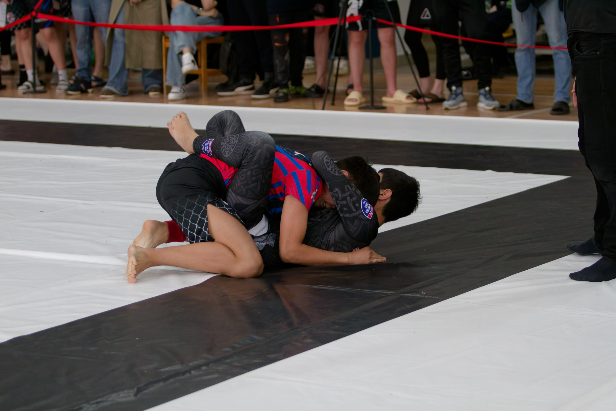 Борьба. Джиу-джитсу 26.04.2025. Репортажный и спортивный фотограф в г. Пермь Зильберг Павел