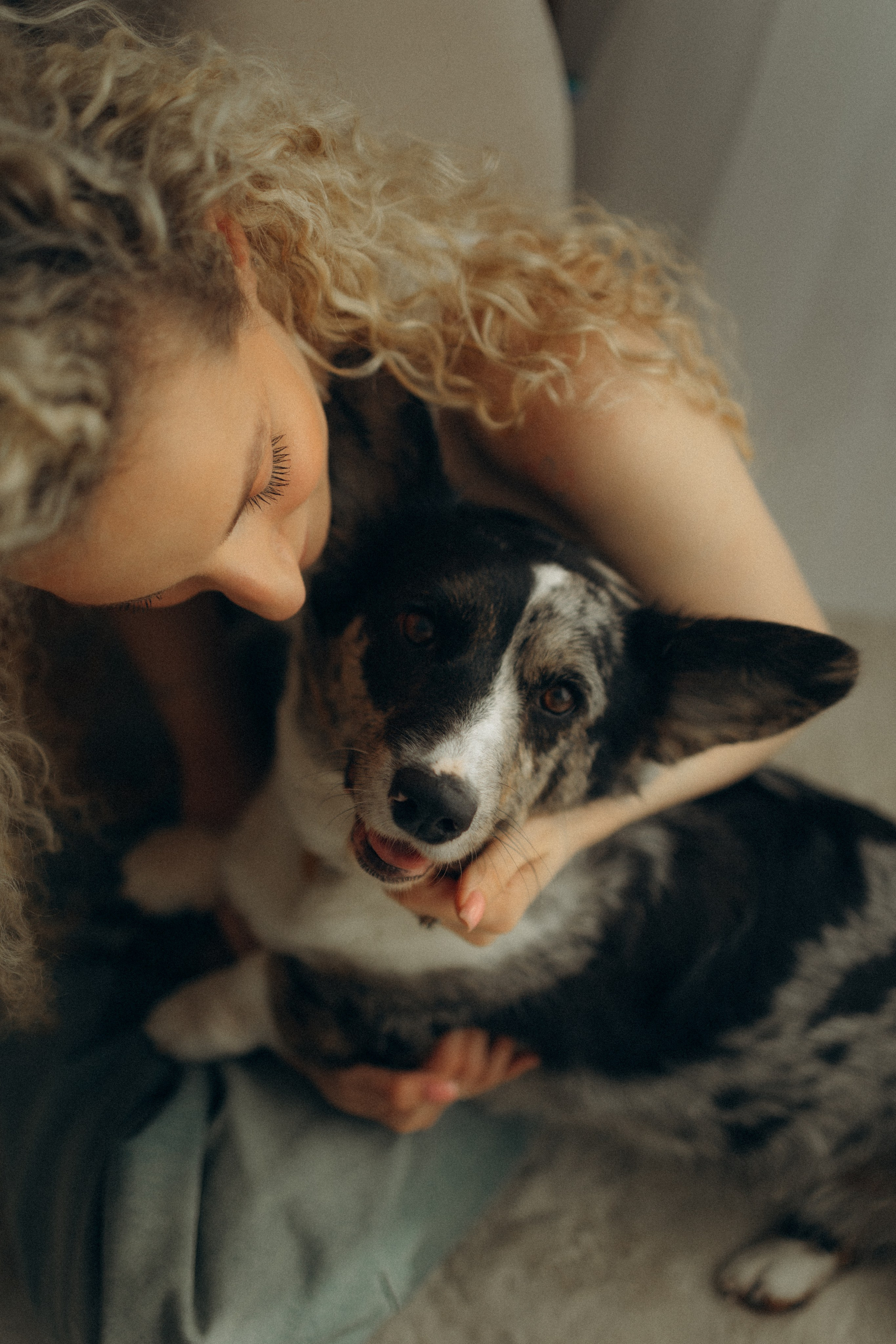 Бэлла, Деми и Луна. Фотораф — анималист Мария Шистка