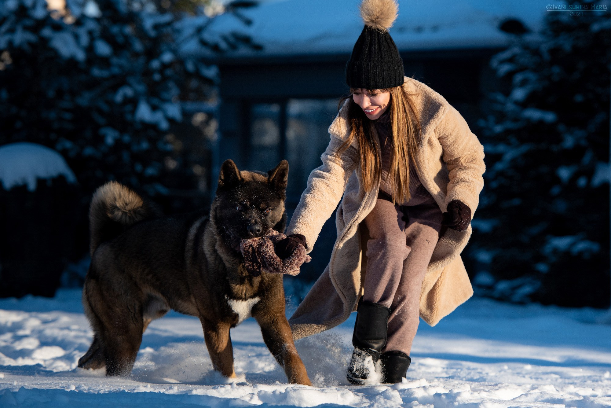 Фотосессия с собакой. Фотограф собак в Москве и Московской области Иванушкина Мария