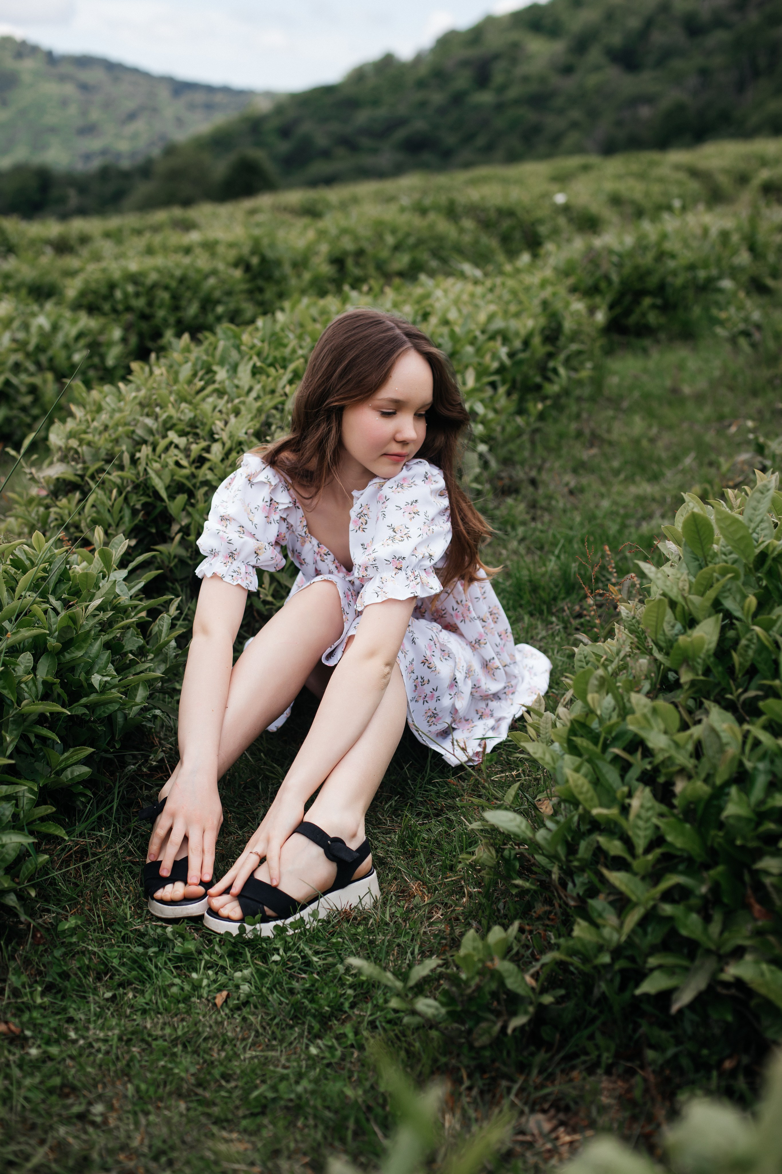 Tea plantation. Efimova Model Agency