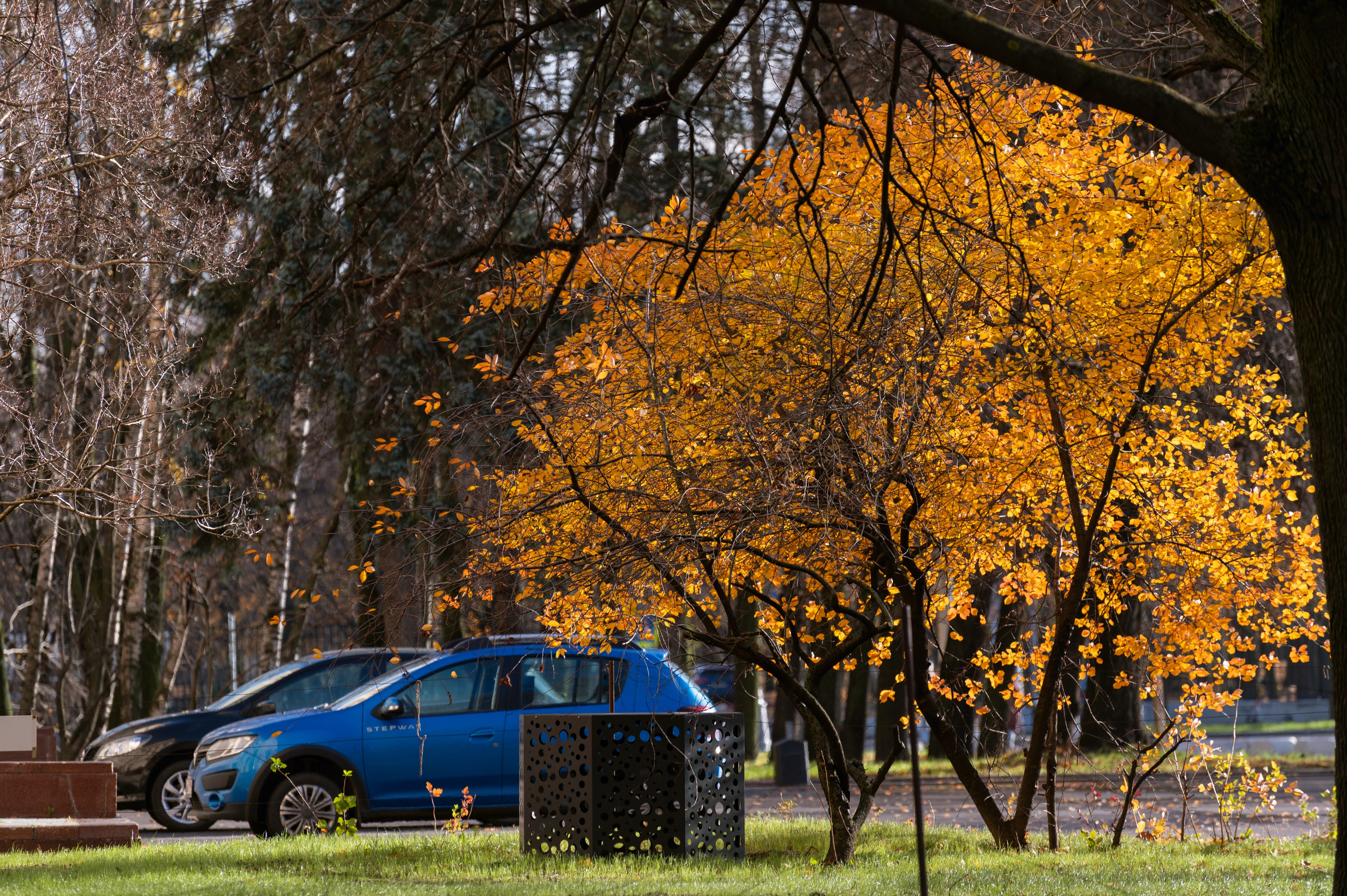 20241102 МГУ. Дмитрий Ремизов. Фотография, как хобби