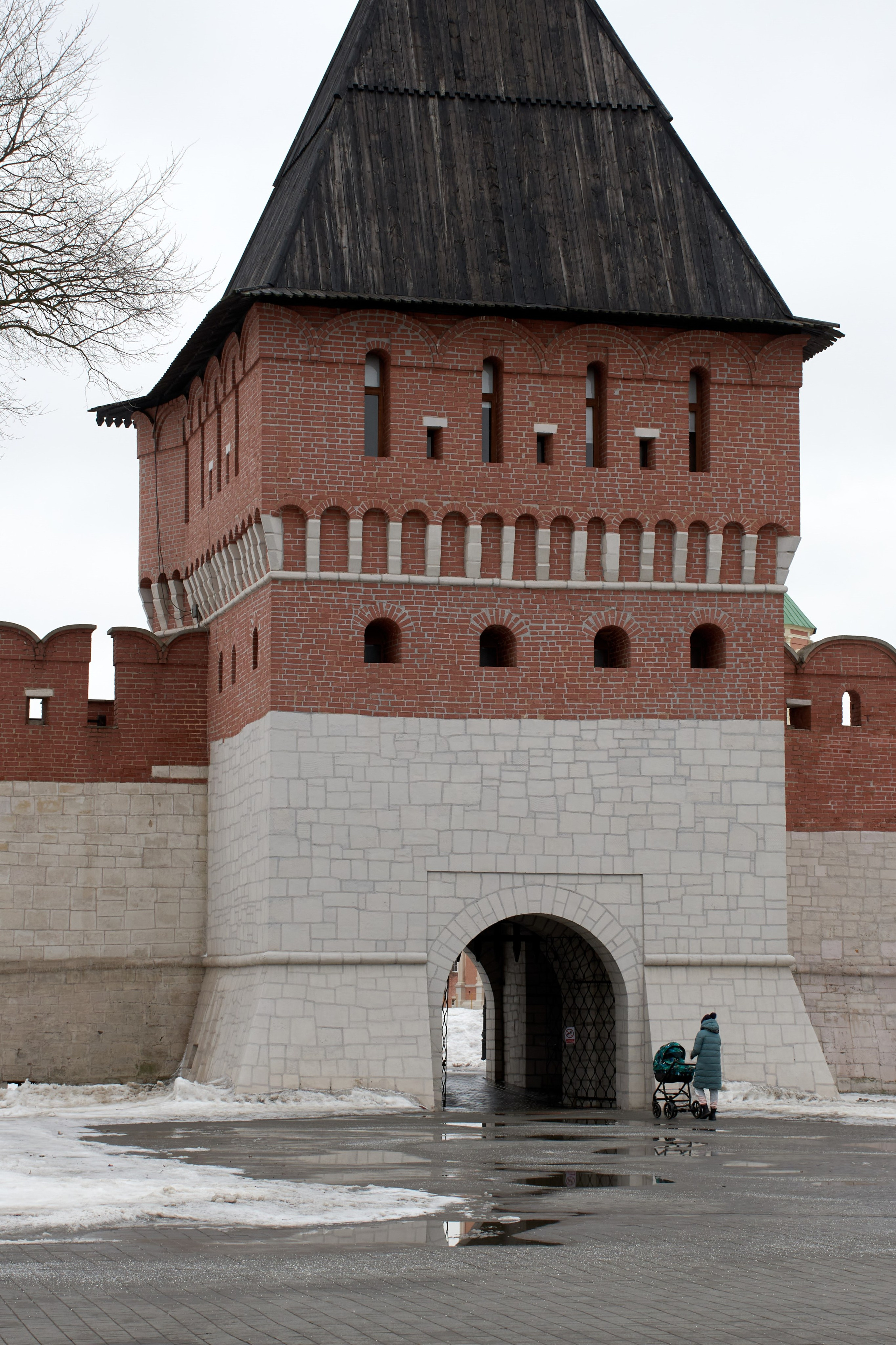 20210316-18 Тула. Дмитрий Ремизов. Фотография, как хобби