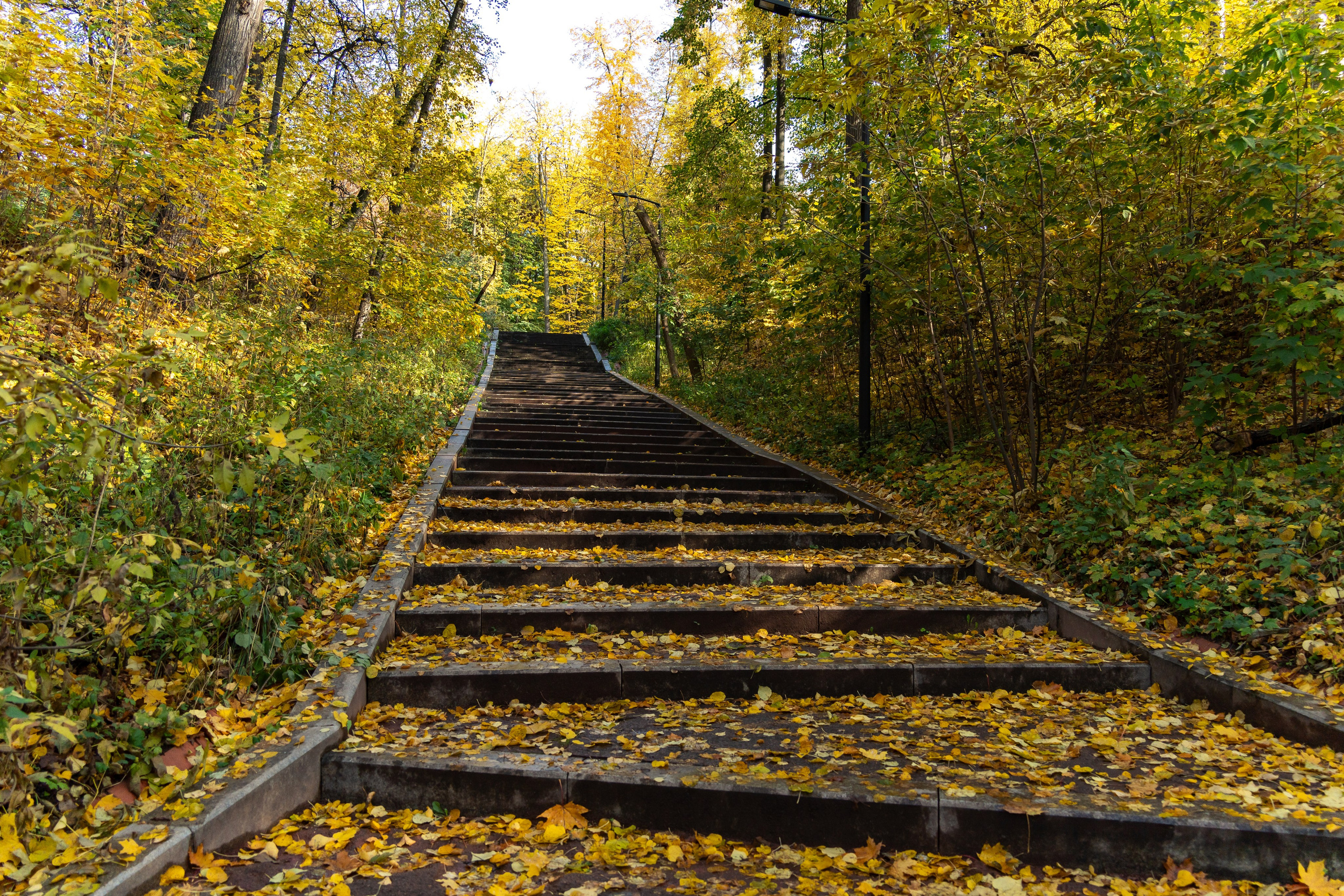 20251011 Нескучный сад. Дмитрий Ремизов. Фотография, как хобби