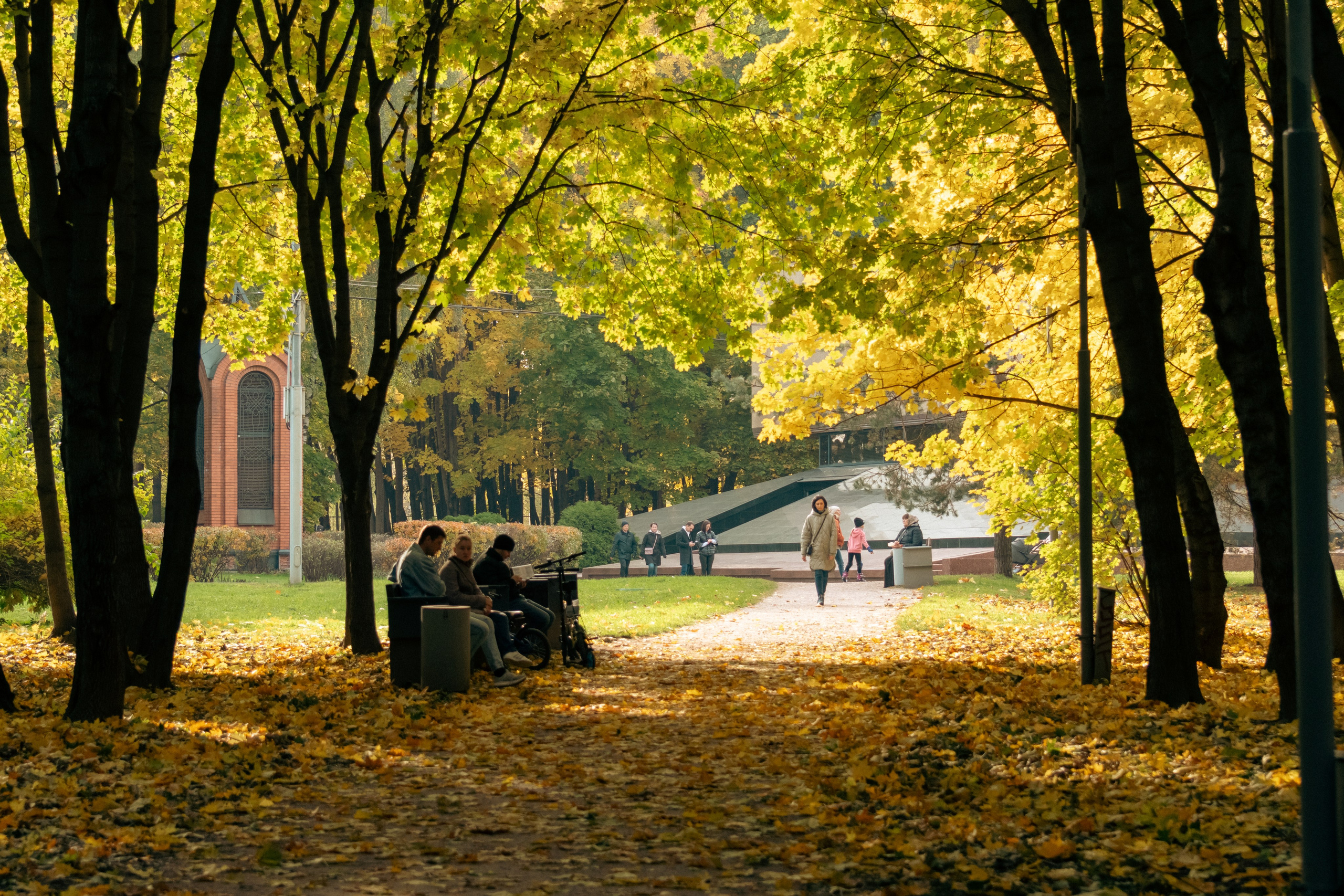 20211003 Поклонка. Дмитрий Ремизов. Фотография, как хобби
