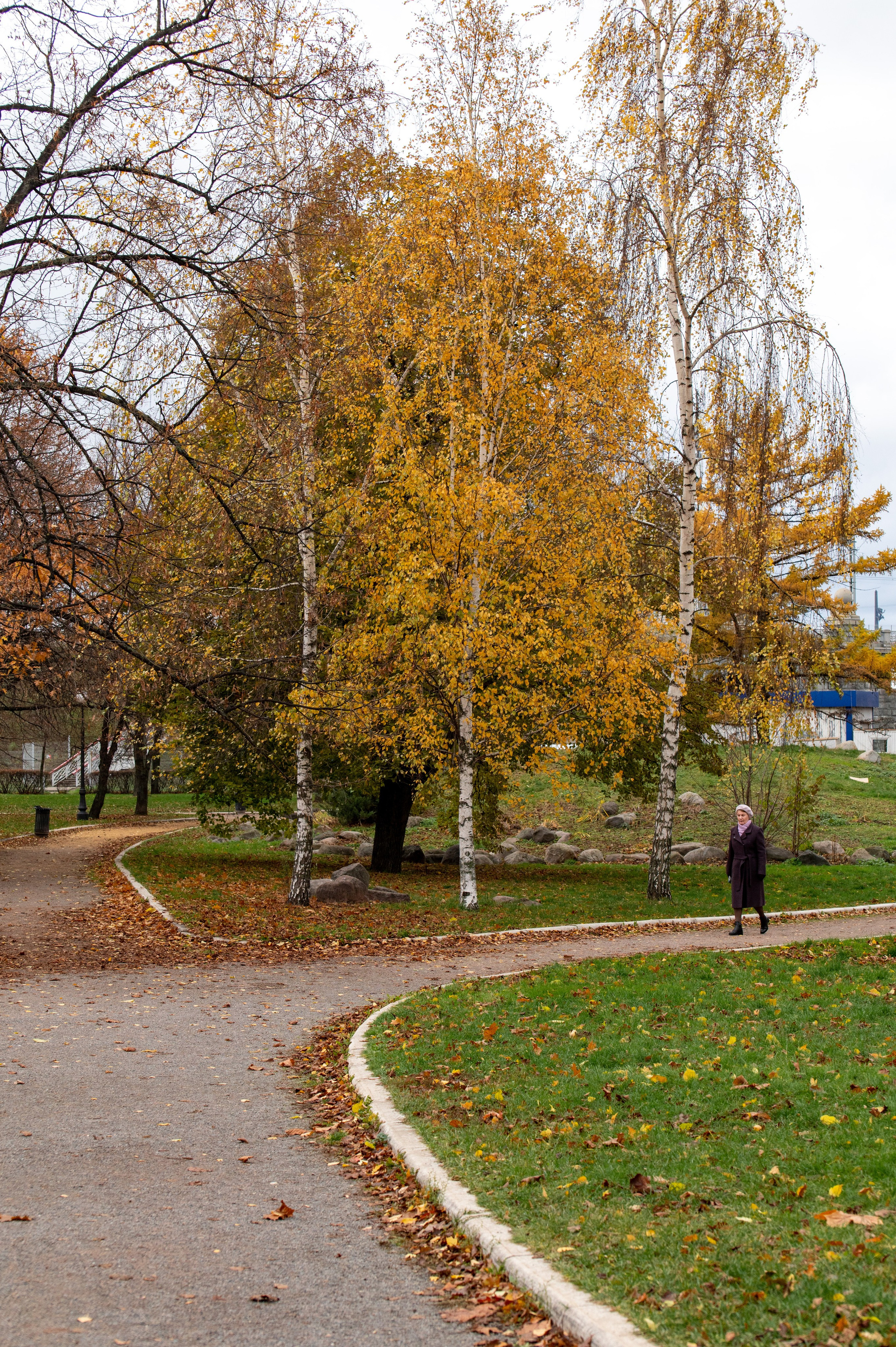 20221030 Новодевичий. Дмитрий Ремизов. Фотография, как хобби