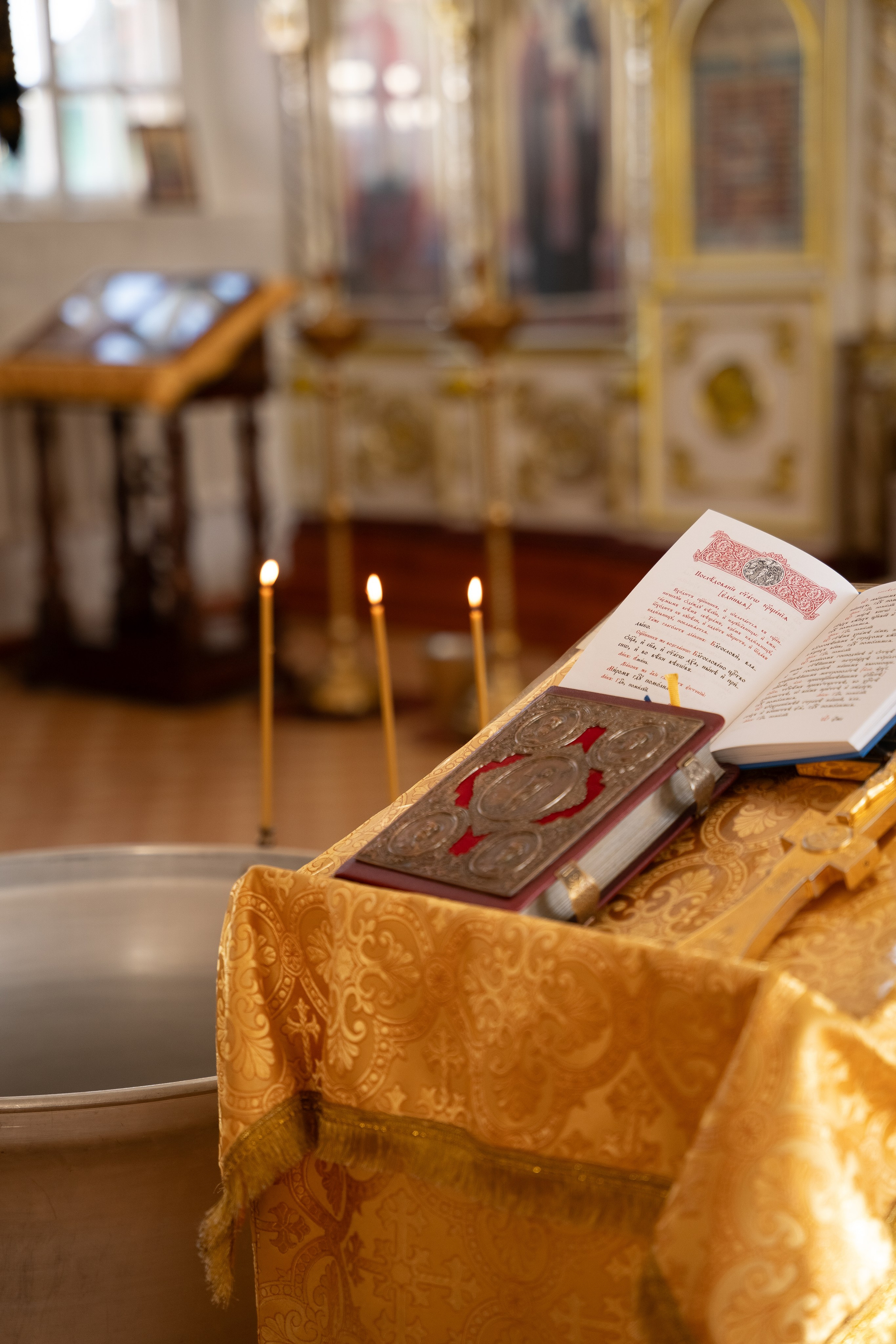 Полина. Фотограф в Ульяновске Александра Григоровских