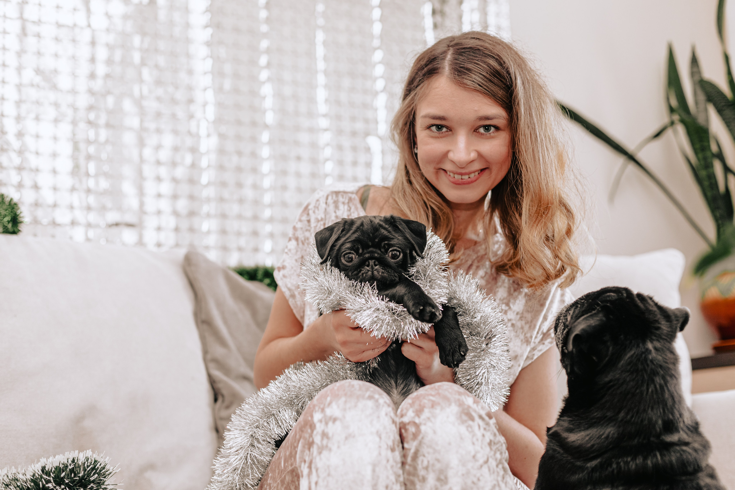 Домашняя фотосессия Оли и двух ее мопсов. Фотограф-анималист Татьяна Степанова