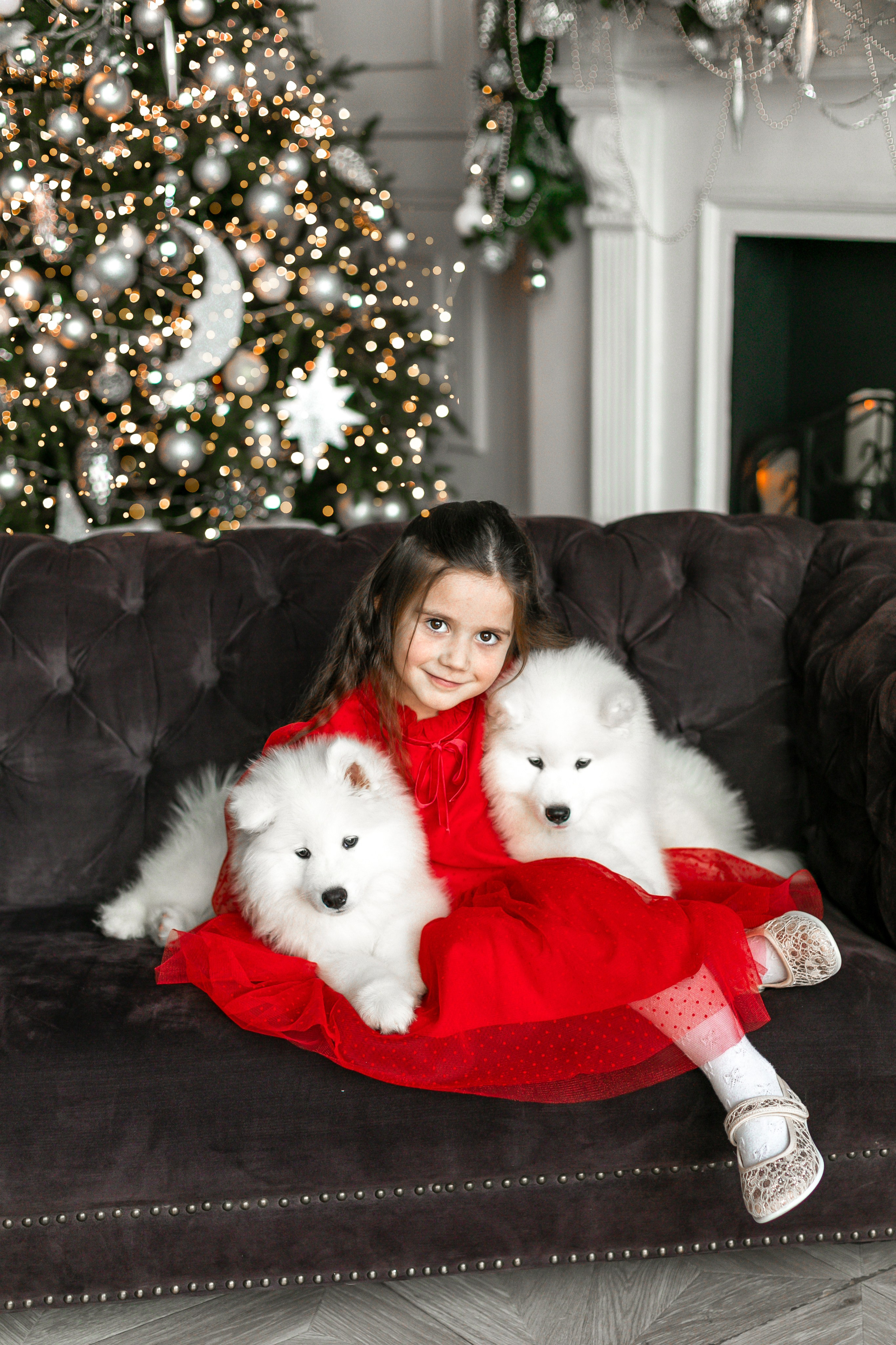 Фотосессия с животными в студии. Фотопроекты, фотодни и фотосессии в Москве