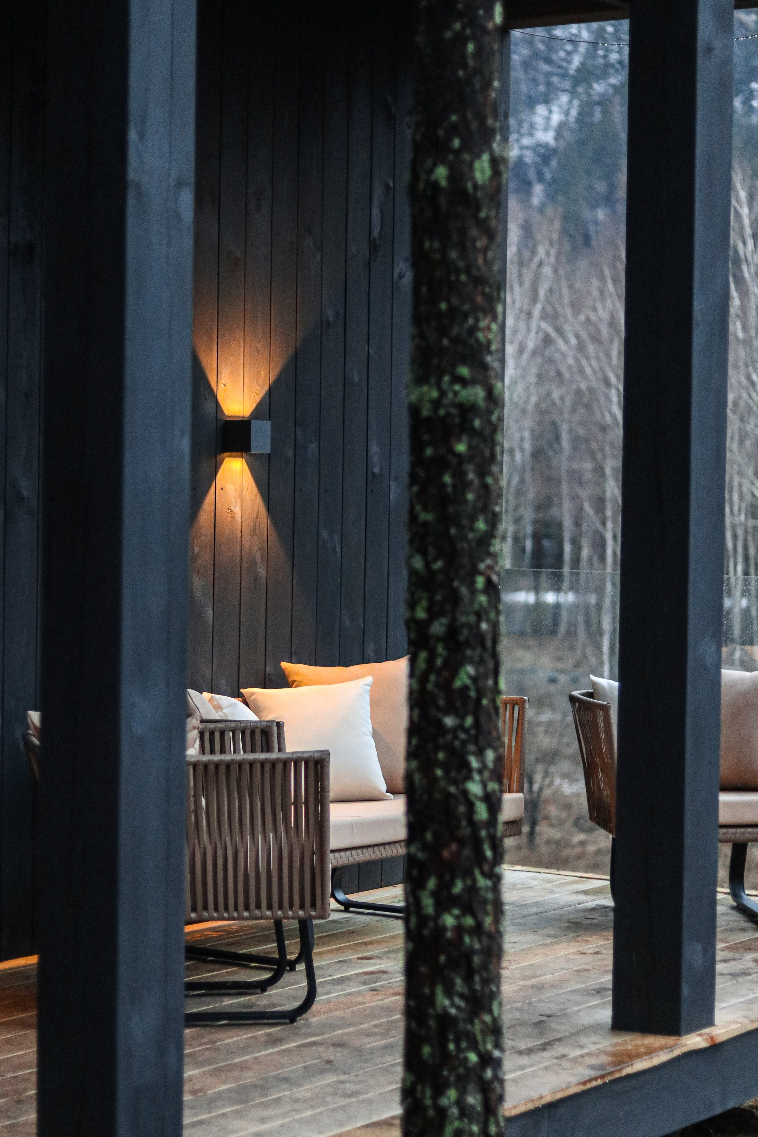 «Pinewood» парк-отель, респ. Алтай. Контент фотограф Дмитрий Борисов