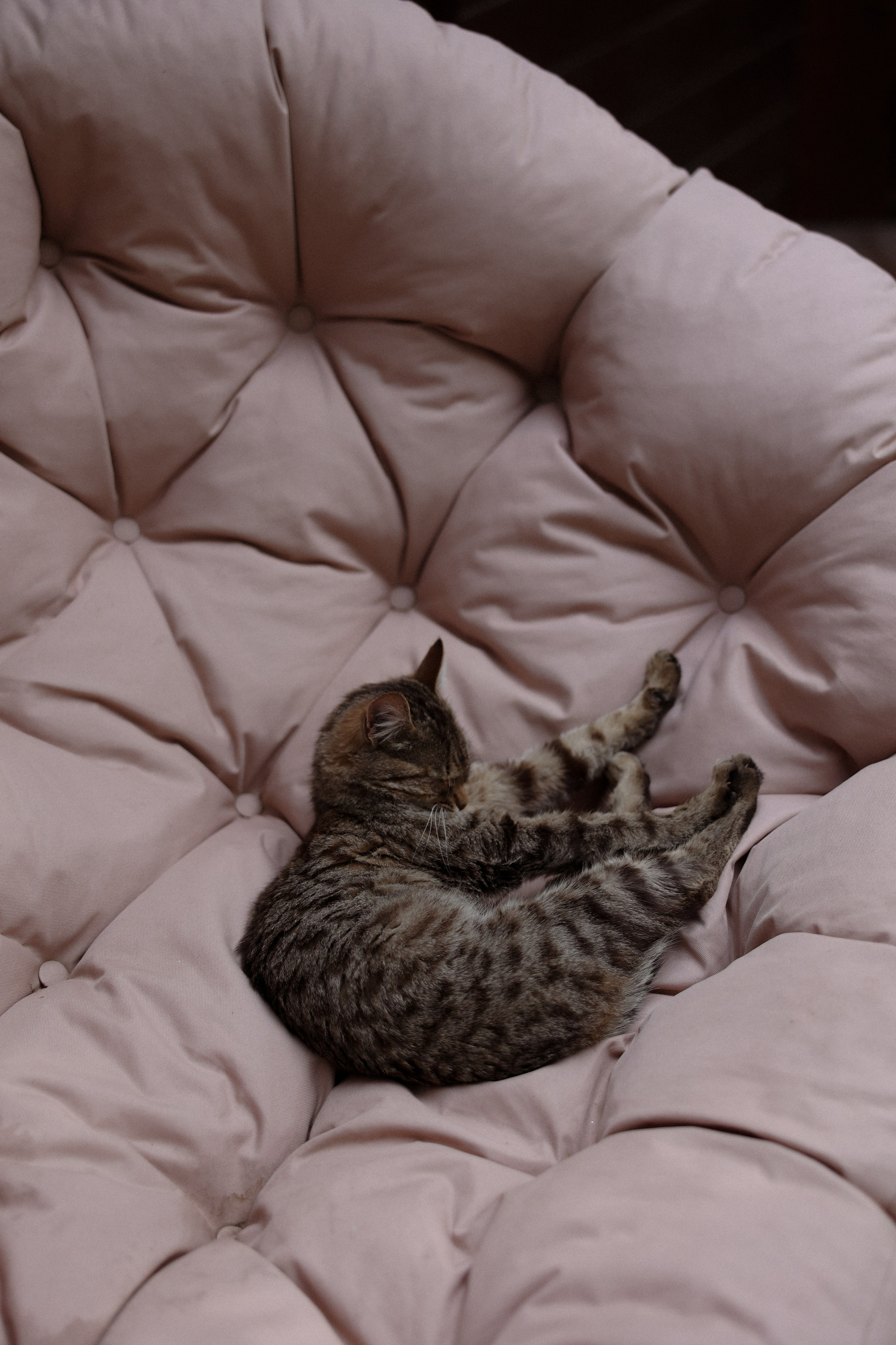 «Все начинается с любви!» — Мария и Михаил. Свадебный и семейный фотограф в Москве Ломова Ирина