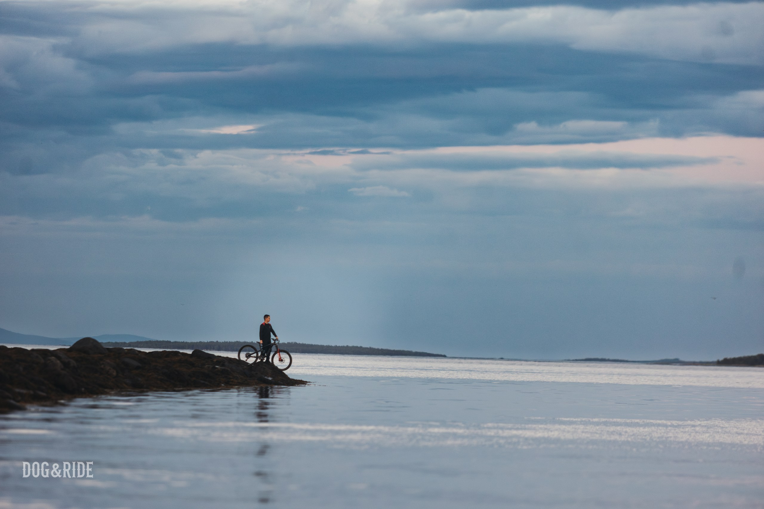 Кандалакшка. Фотограф анималист Никита Натальный