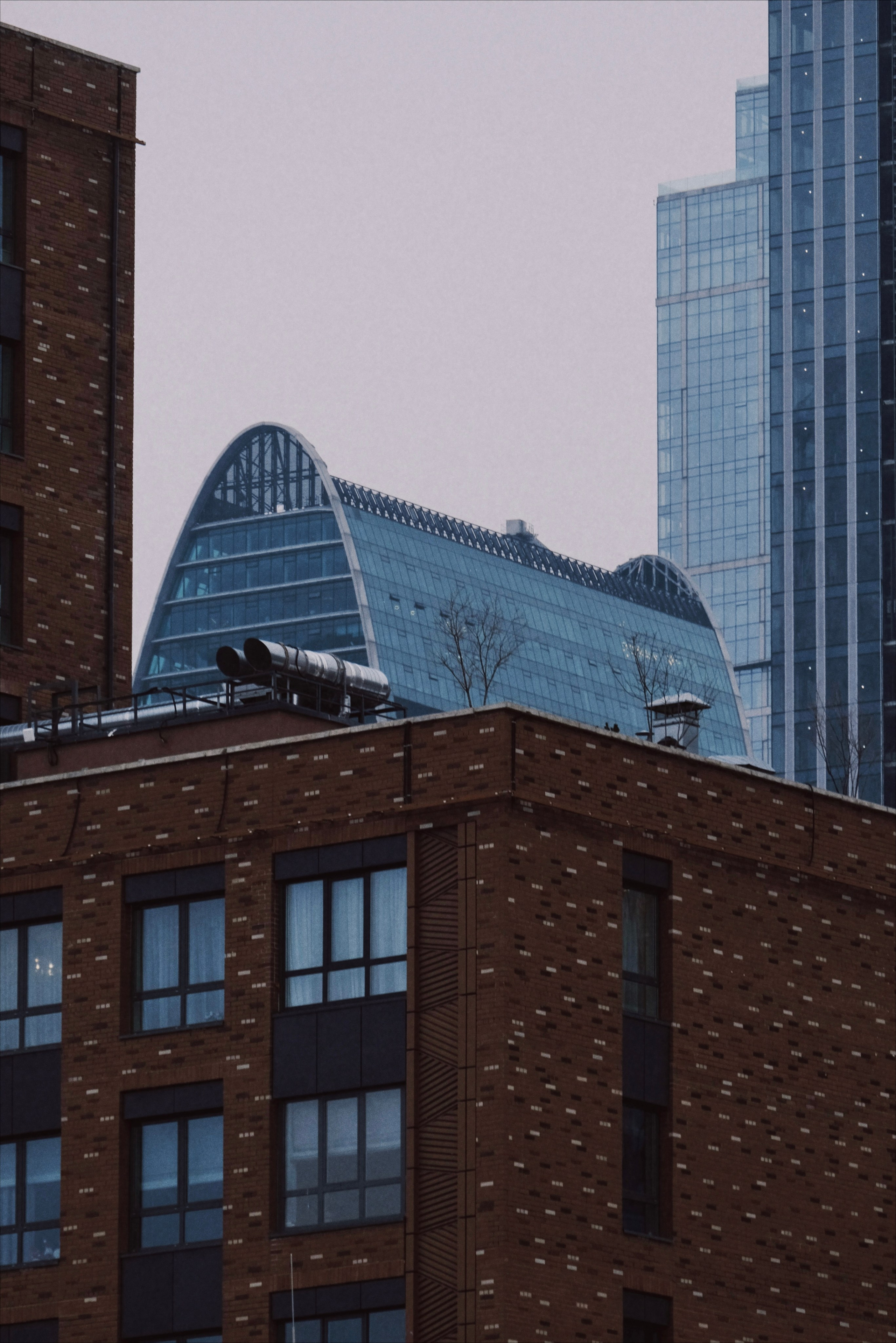 Москва. Татьян гертье