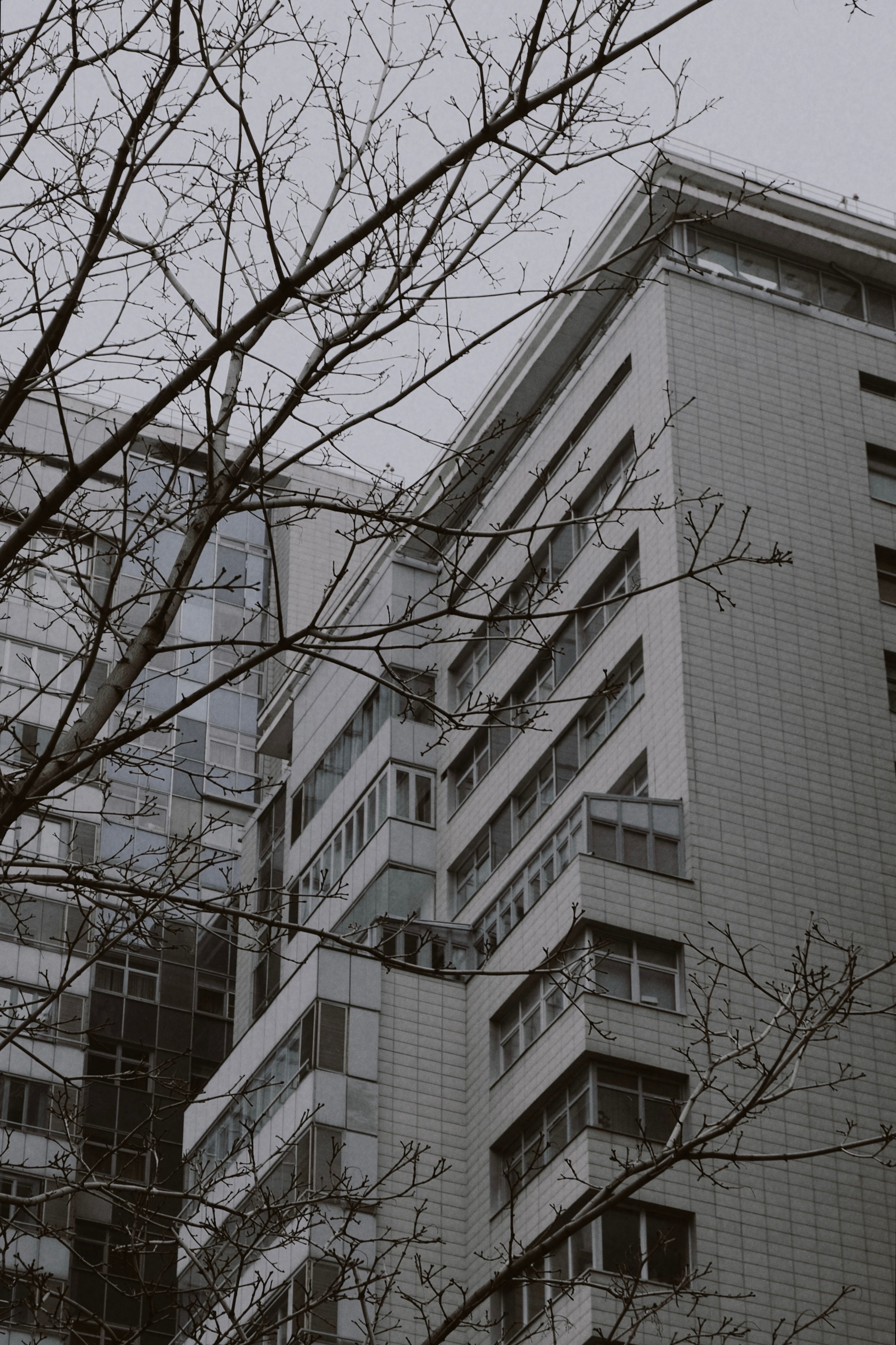 Москва. Татьян гертье