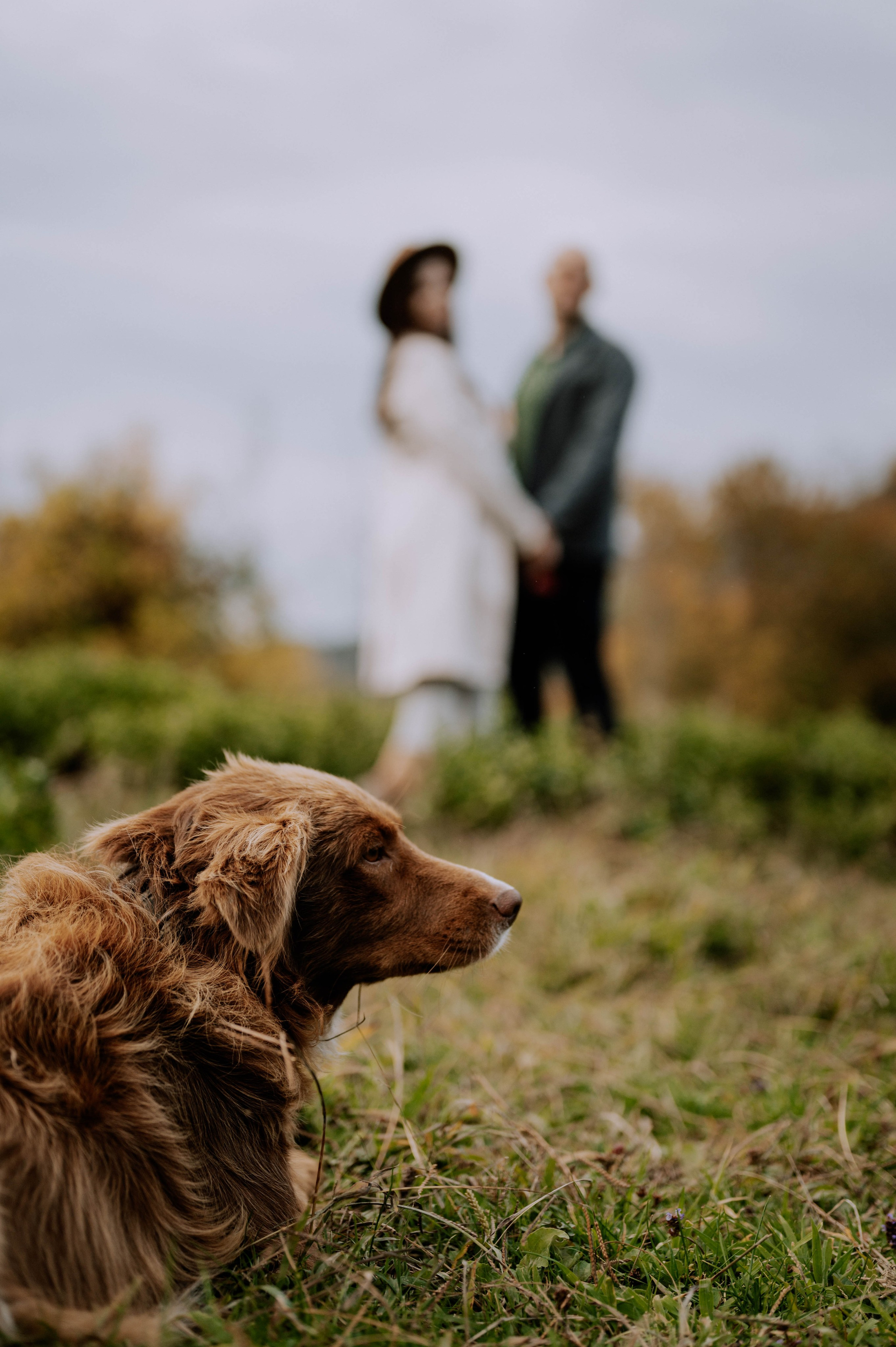 Таня и Денис. Фотограф Сочи Кисматова Анастасия